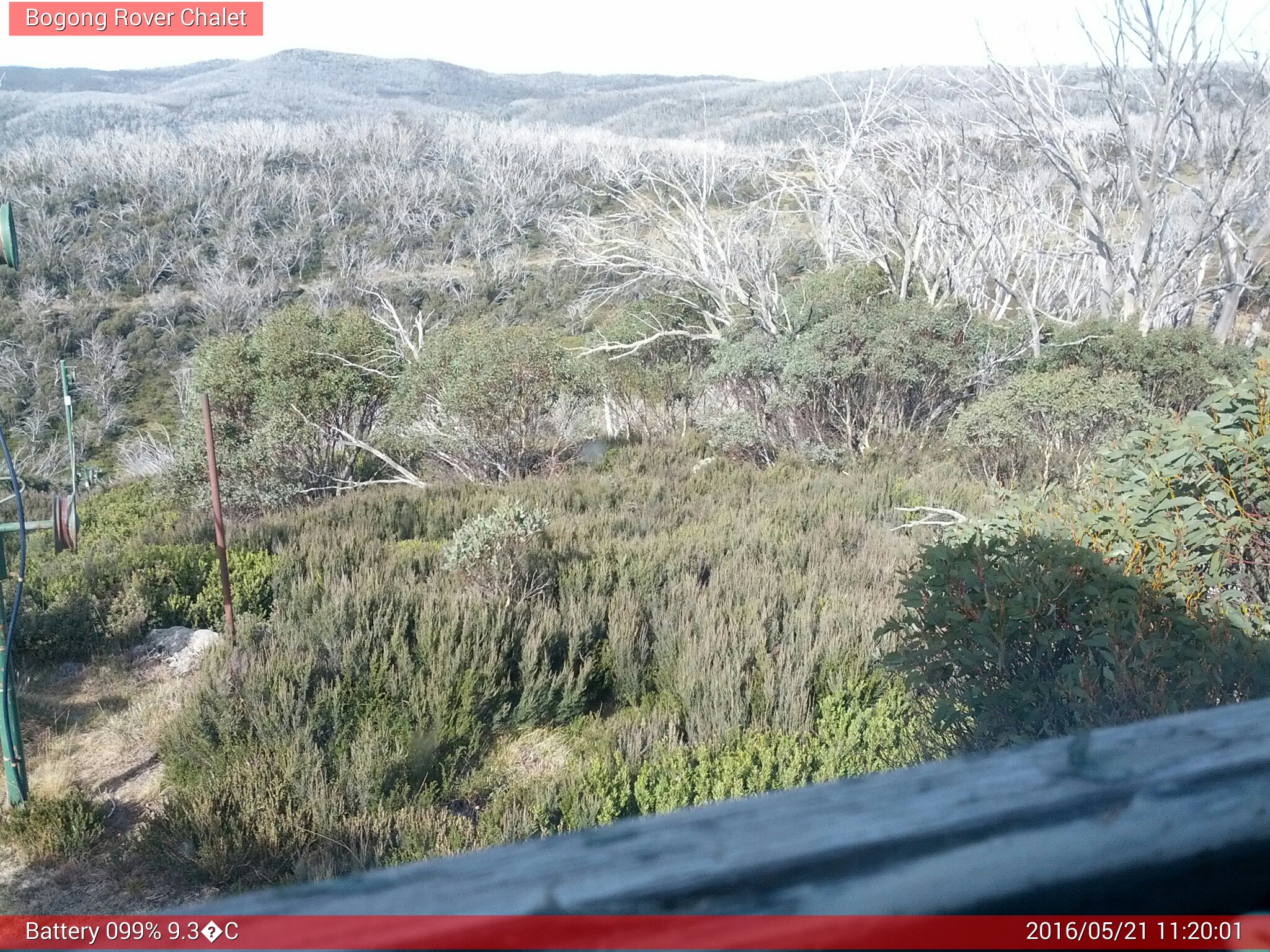 Bogong Web Cam 11:20am Saturday 21st of May 2016