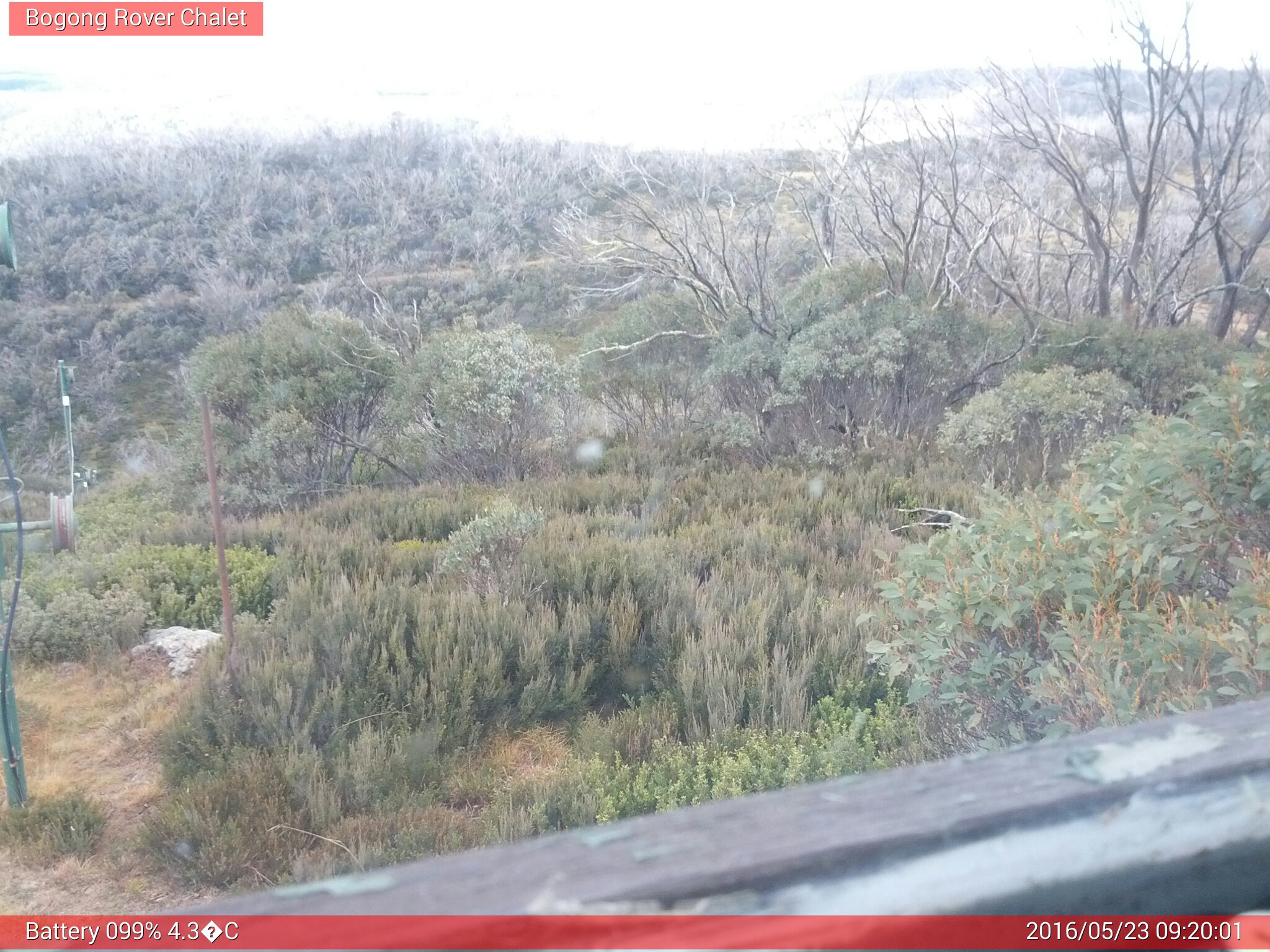 Bogong Web Cam 9:20am Monday 23rd of May 2016