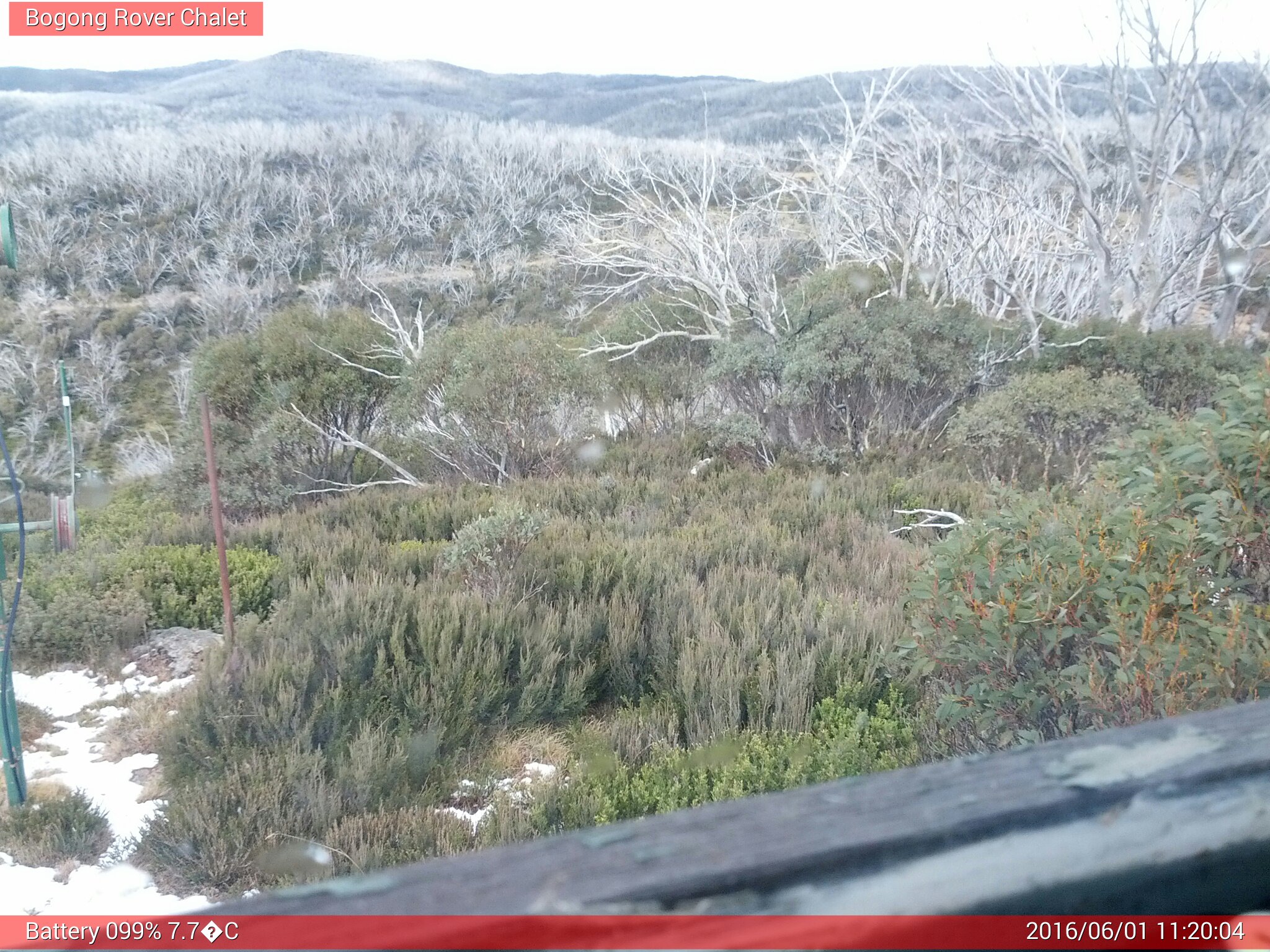 Bogong Web Cam 11:20am Wednesday 1st of June 2016