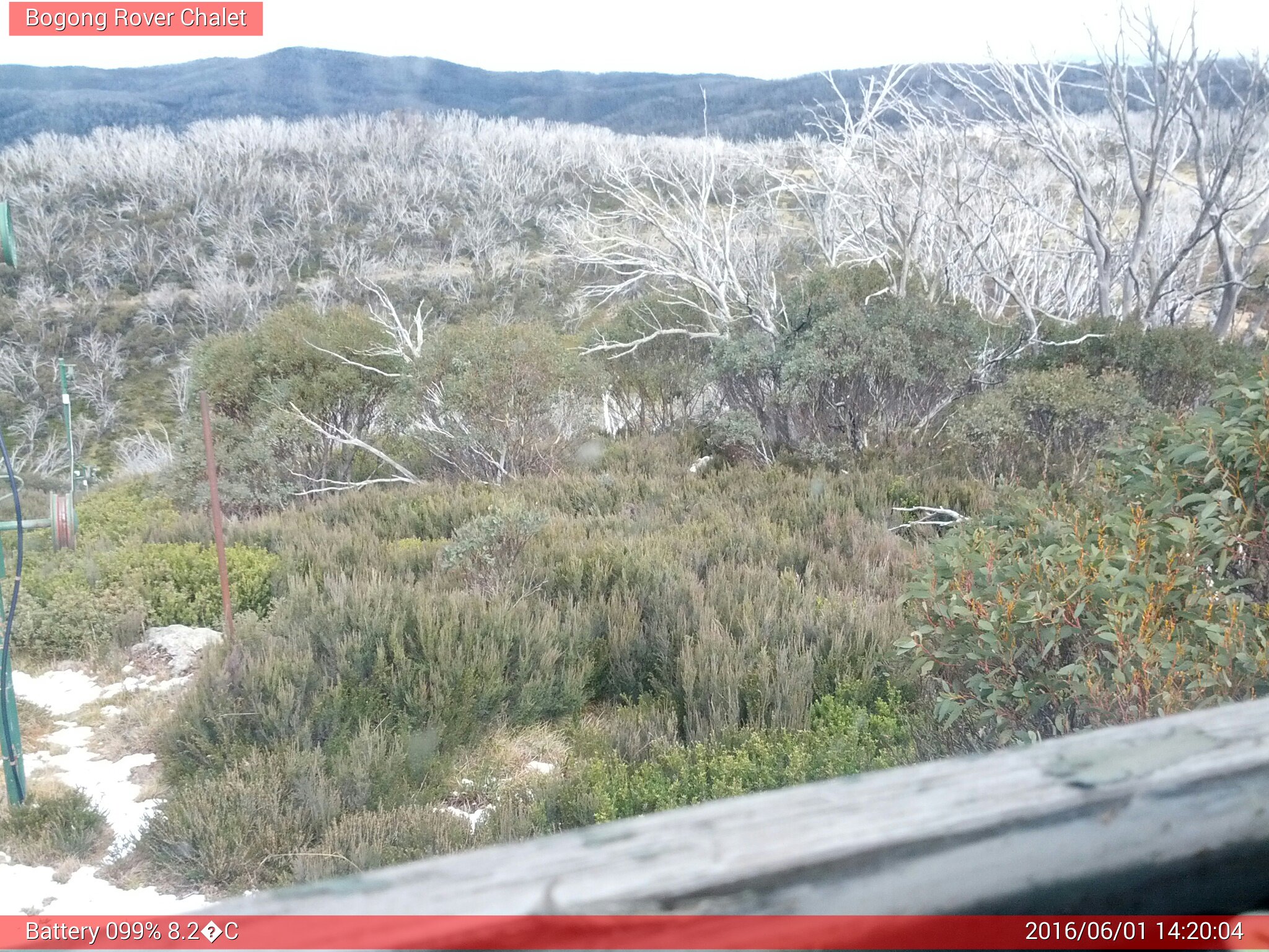 Bogong Web Cam 2:20pm Wednesday 1st of June 2016