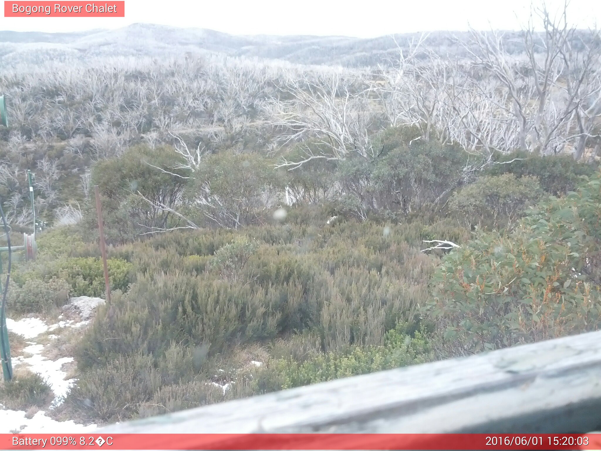 Bogong Web Cam 3:20pm Wednesday 1st of June 2016