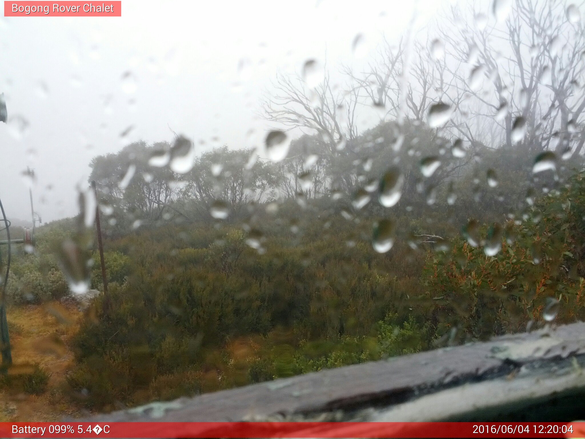 Bogong Web Cam 12:20pm Saturday 4th of June 2016