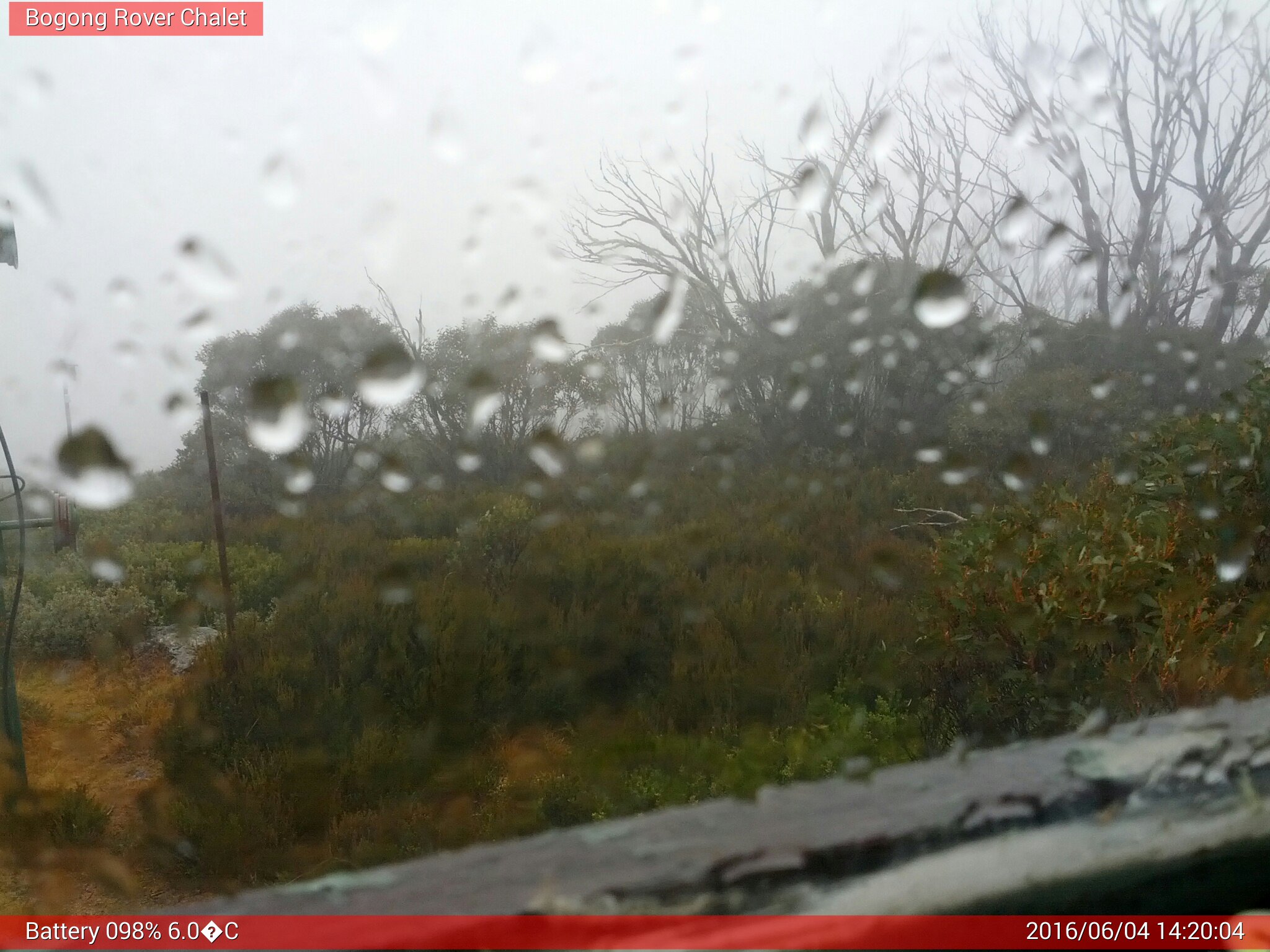 Bogong Web Cam 2:20pm Saturday 4th of June 2016