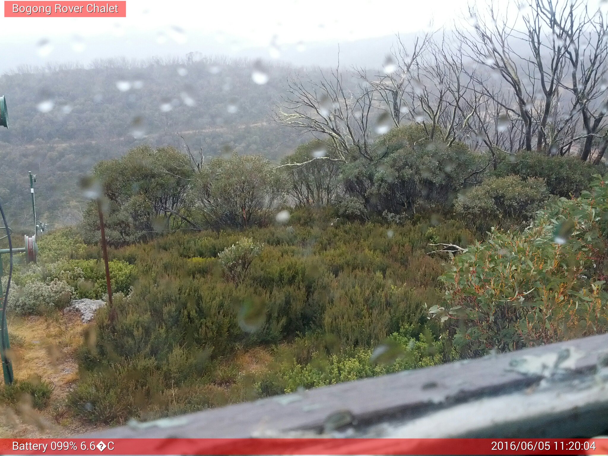 Bogong Web Cam 11:20am Sunday 5th of June 2016