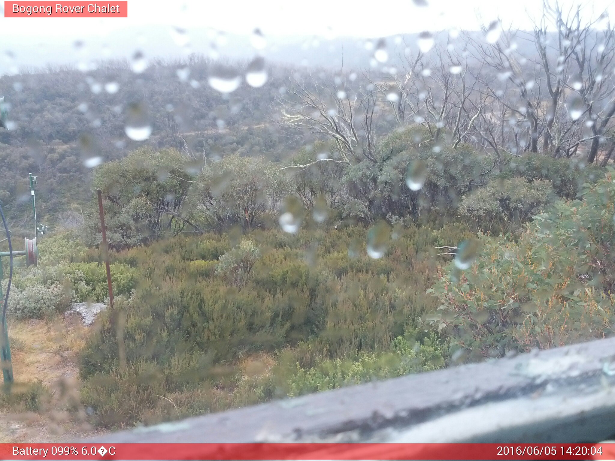 Bogong Web Cam 2:20pm Sunday 5th of June 2016