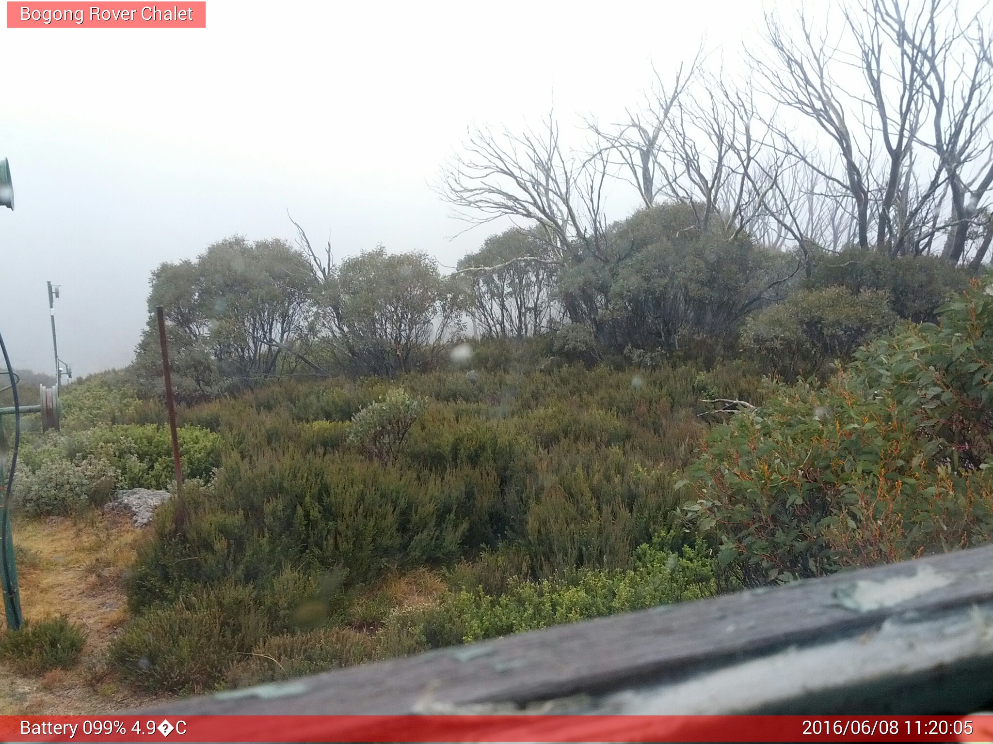 Bogong Web Cam 11:20am Wednesday 8th of June 2016