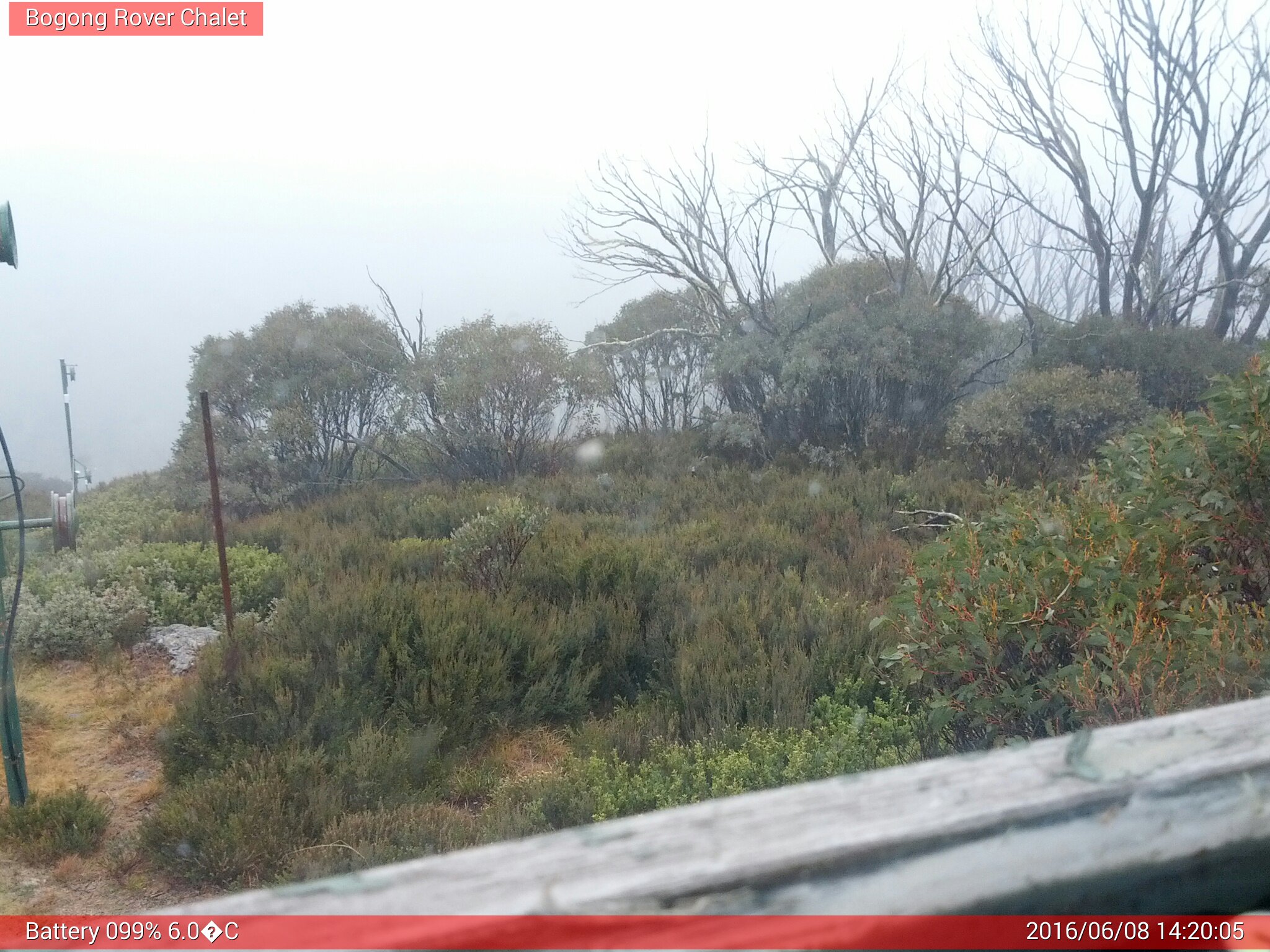 Bogong Web Cam 2:20pm Wednesday 8th of June 2016