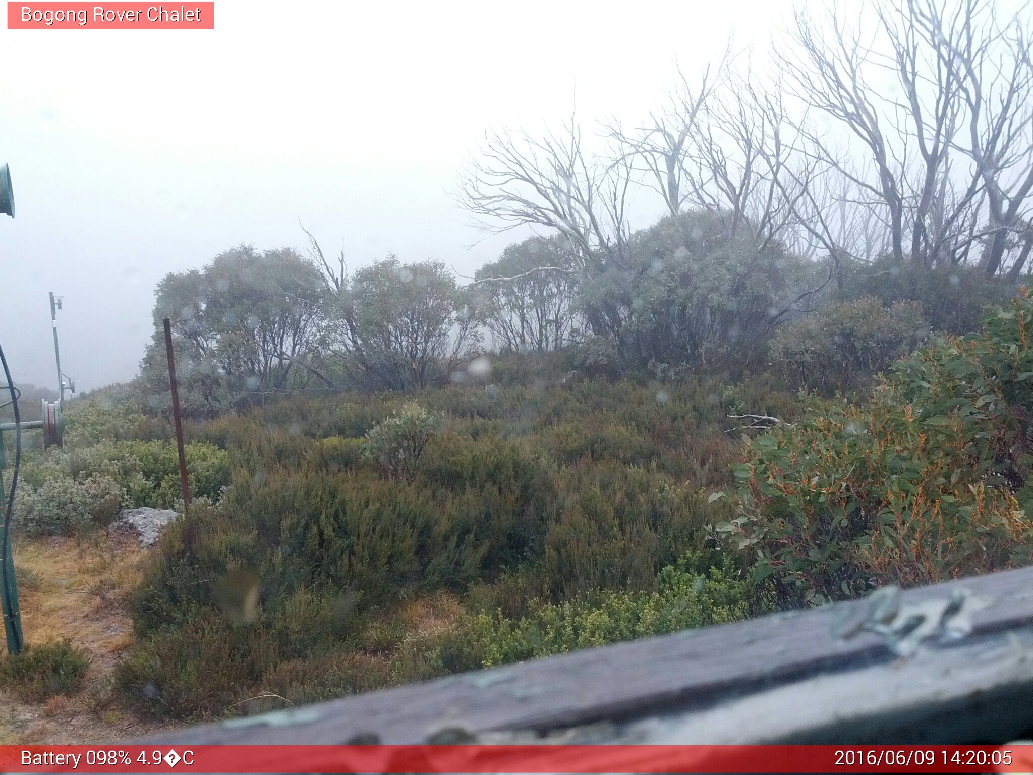 Bogong Web Cam 2:20pm Thursday 9th of June 2016