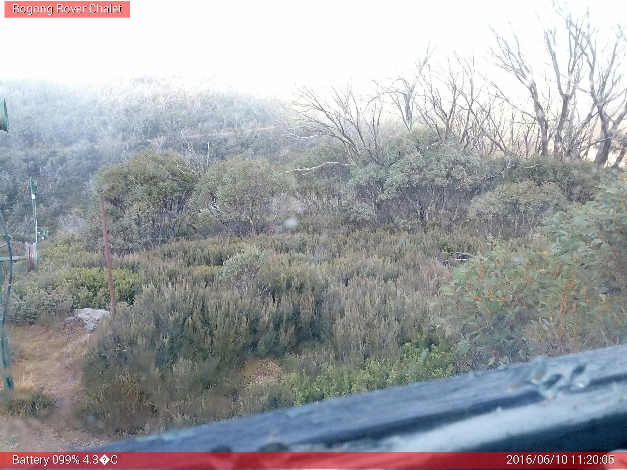 Bogong Web Cam 11:20am Friday 10th of June 2016