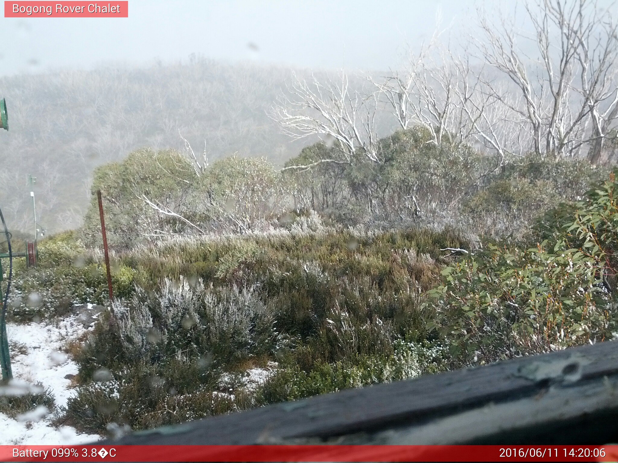 Bogong Web Cam 2:20pm Saturday 11th of June 2016