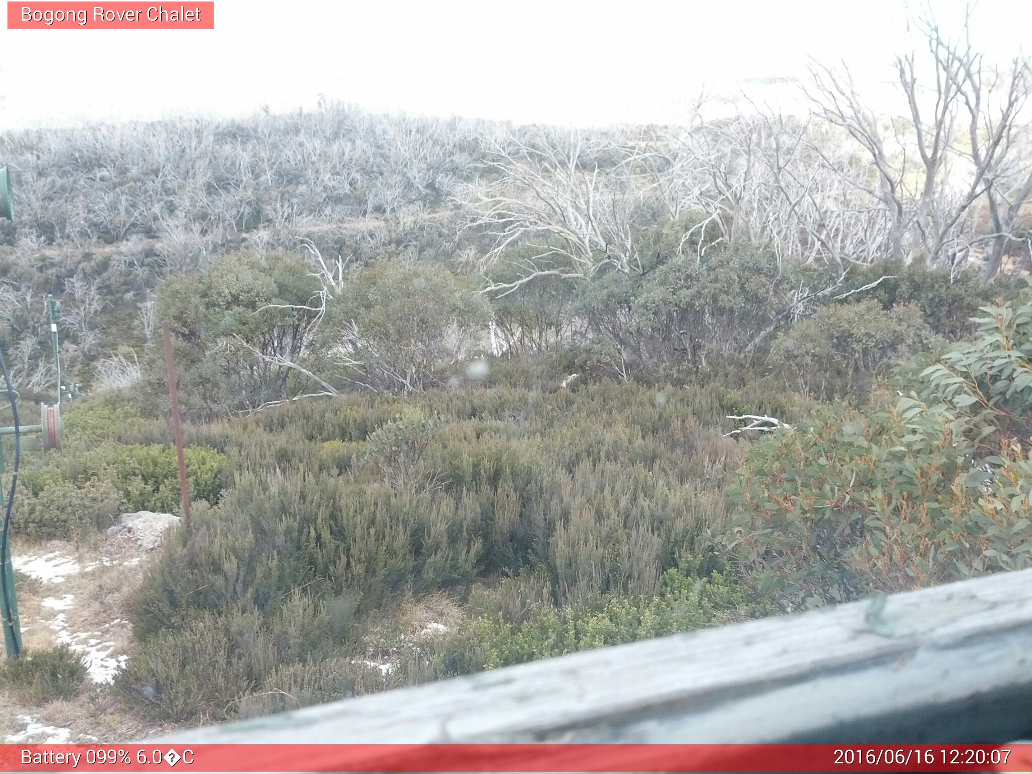 Bogong Web Cam 12:20pm Thursday 16th of June 2016