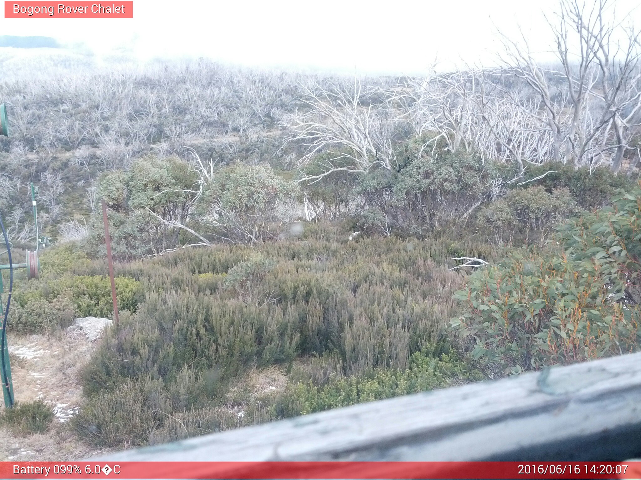 Bogong Web Cam 2:20pm Thursday 16th of June 2016