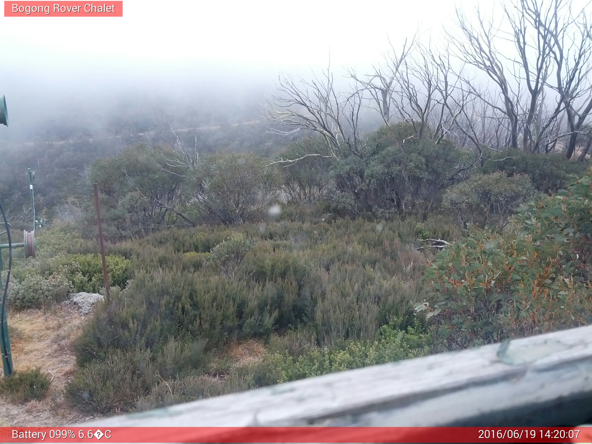 Bogong Web Cam 2:20pm Sunday 19th of June 2016