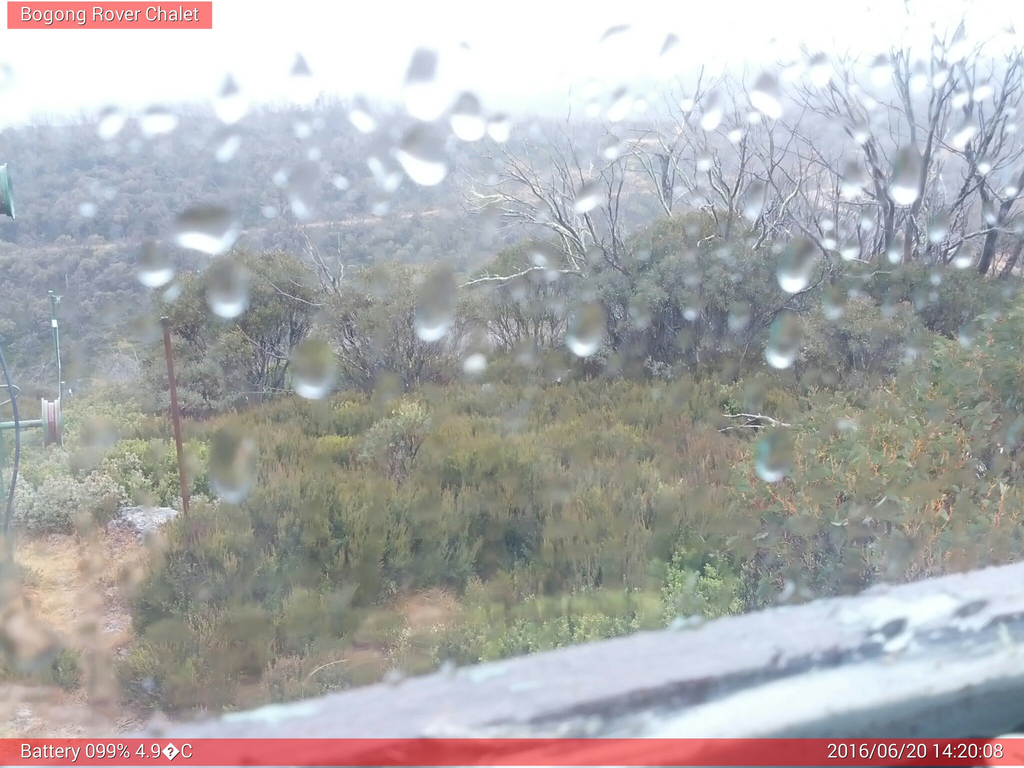 Bogong Web Cam 2:20pm Monday 20th of June 2016