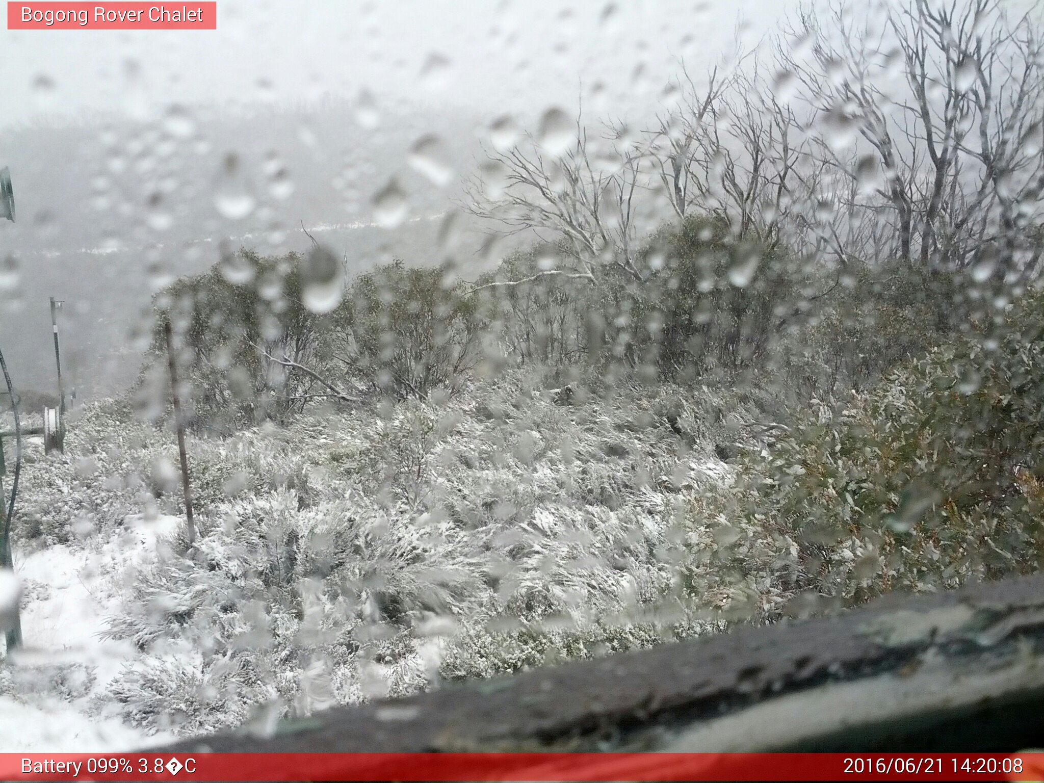 Bogong Web Cam 2:20pm Tuesday 21st of June 2016