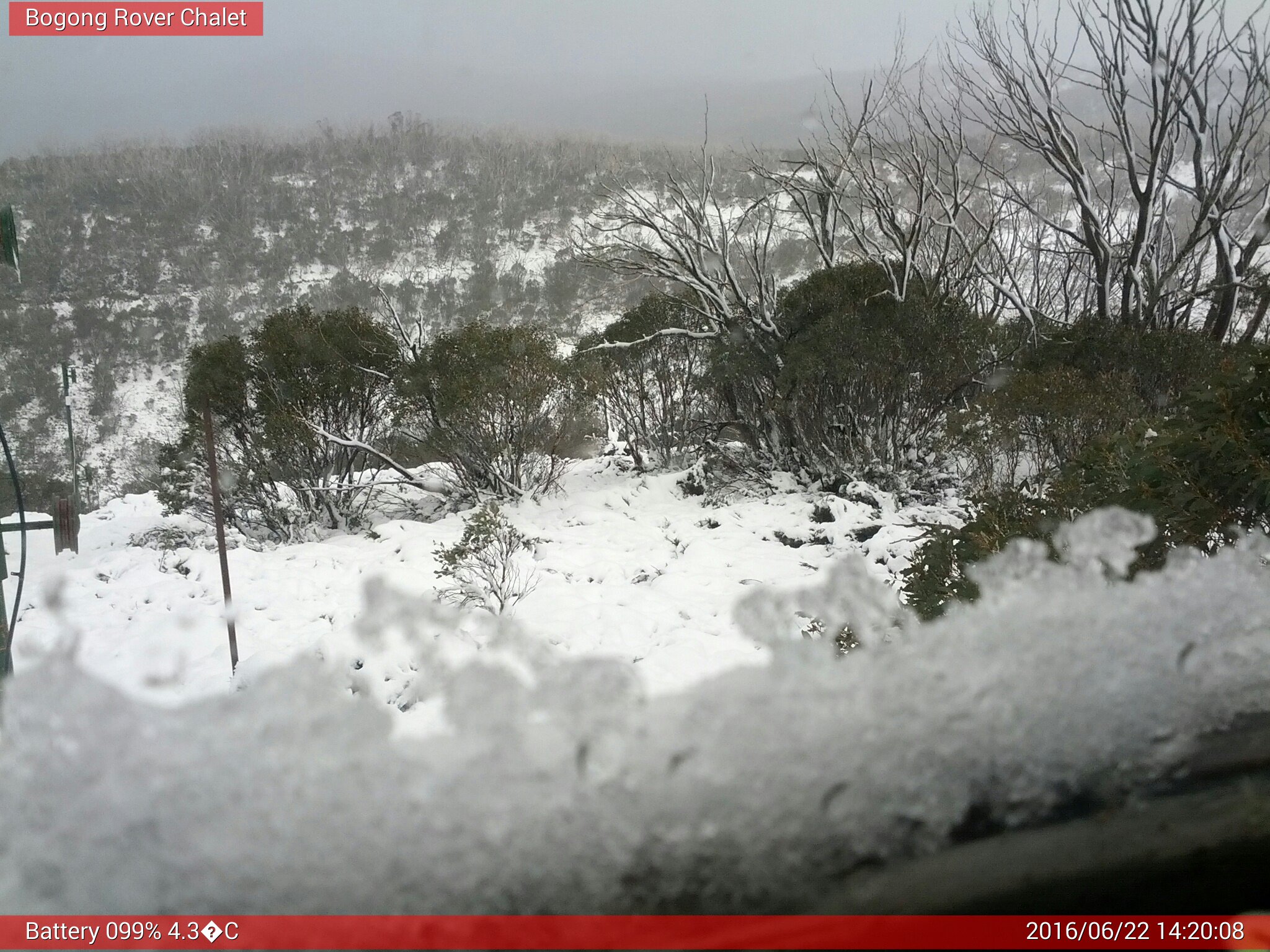 Bogong Web Cam 2:20pm Wednesday 22nd of June 2016