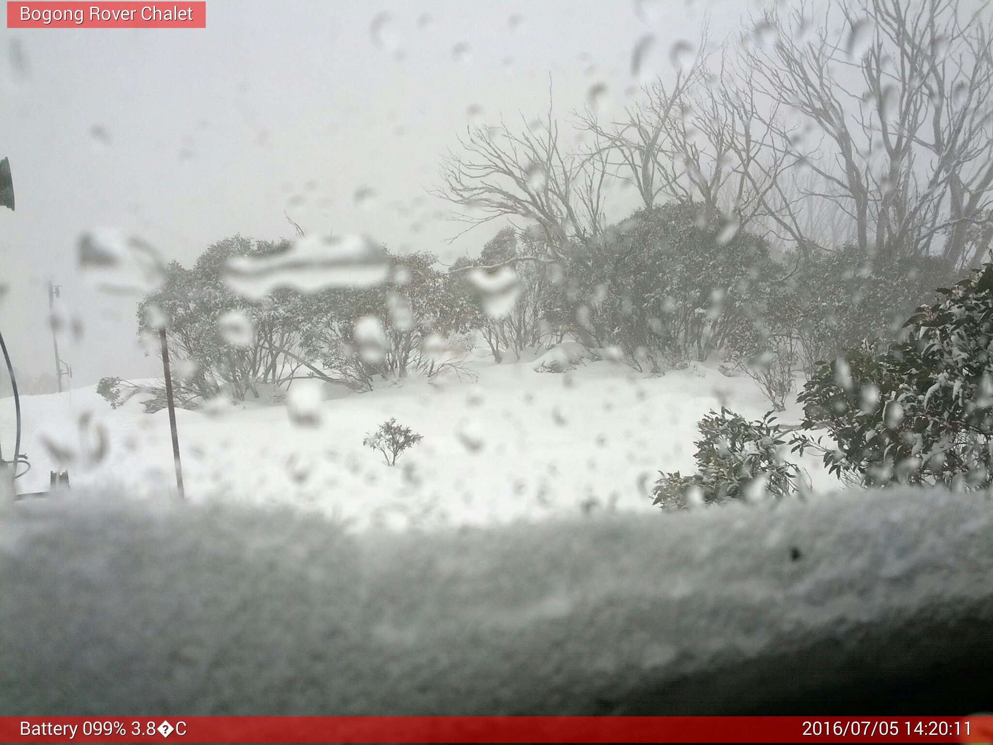 Bogong Web Cam 2:20pm Tuesday 5th of July 2016