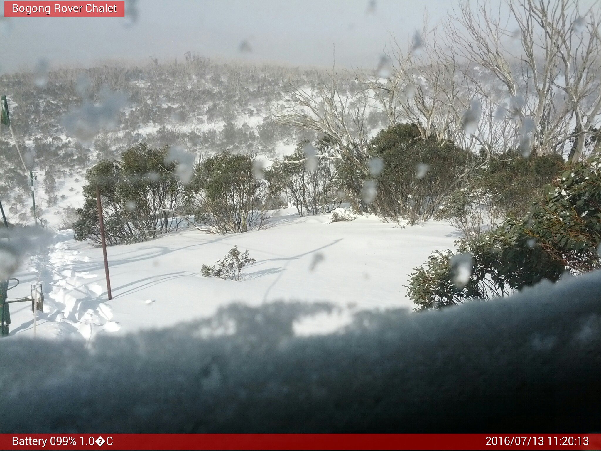 Bogong Web Cam 11:20am Wednesday 13th of July 2016