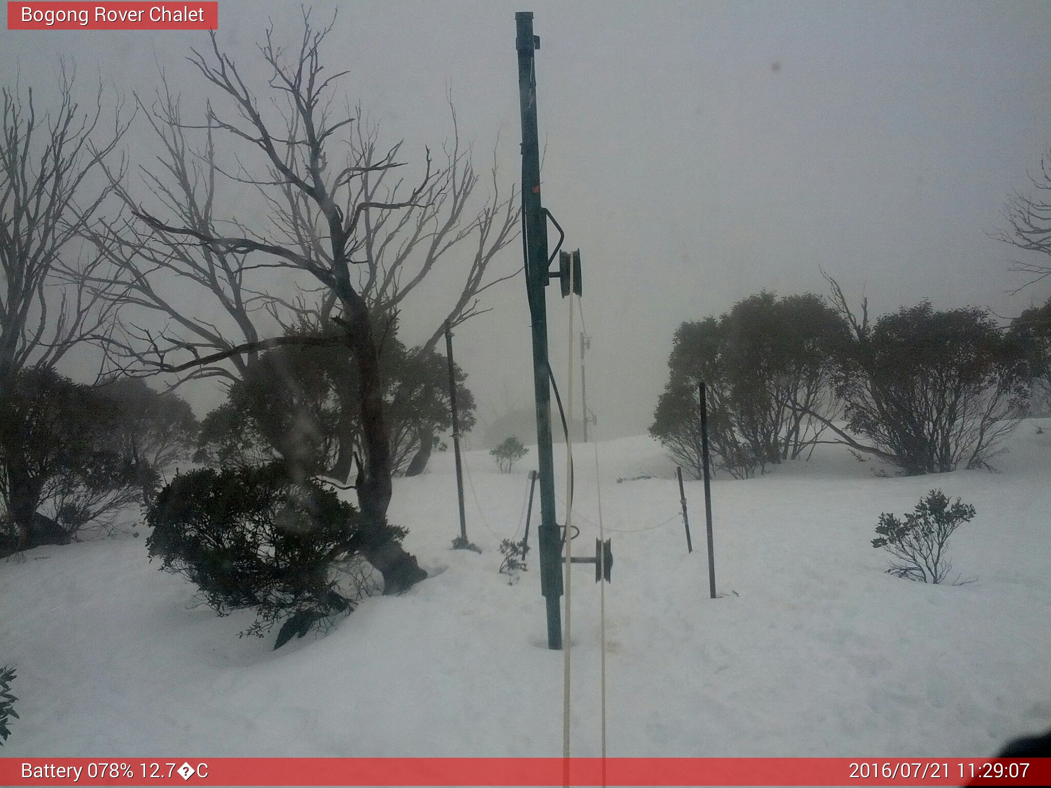 Bogong Web Cam 11:29am Thursday 21st of July 2016