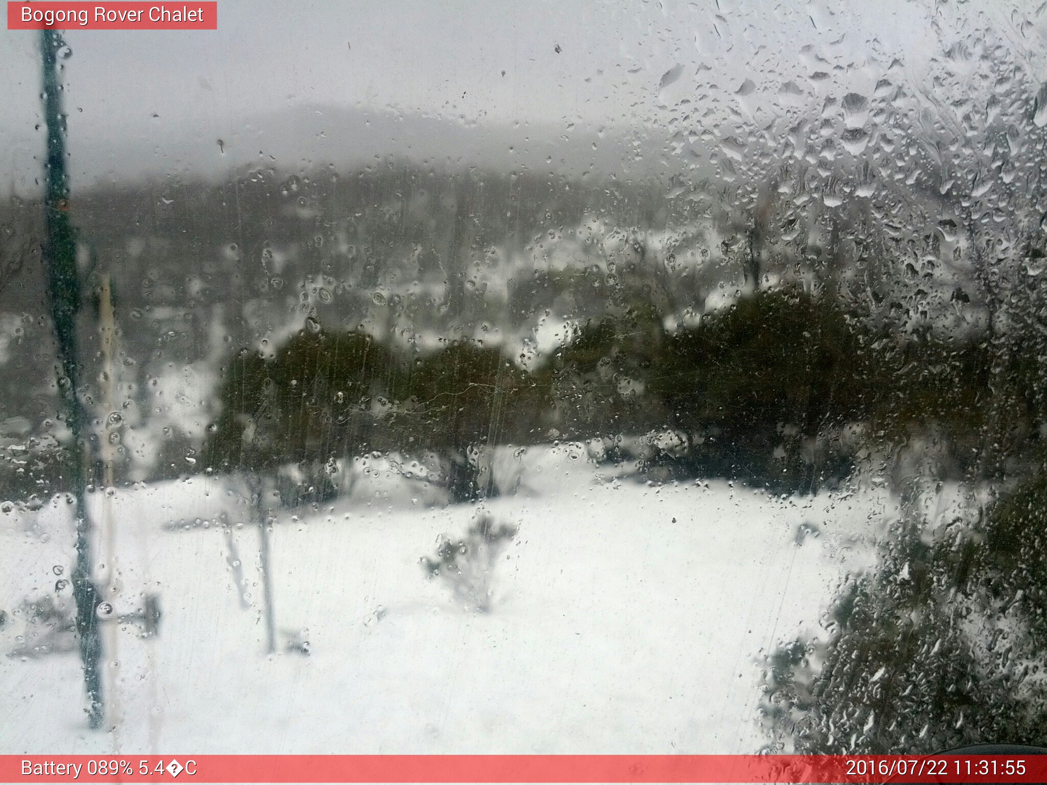 Bogong Web Cam 11:31am Friday 22nd of July 2016