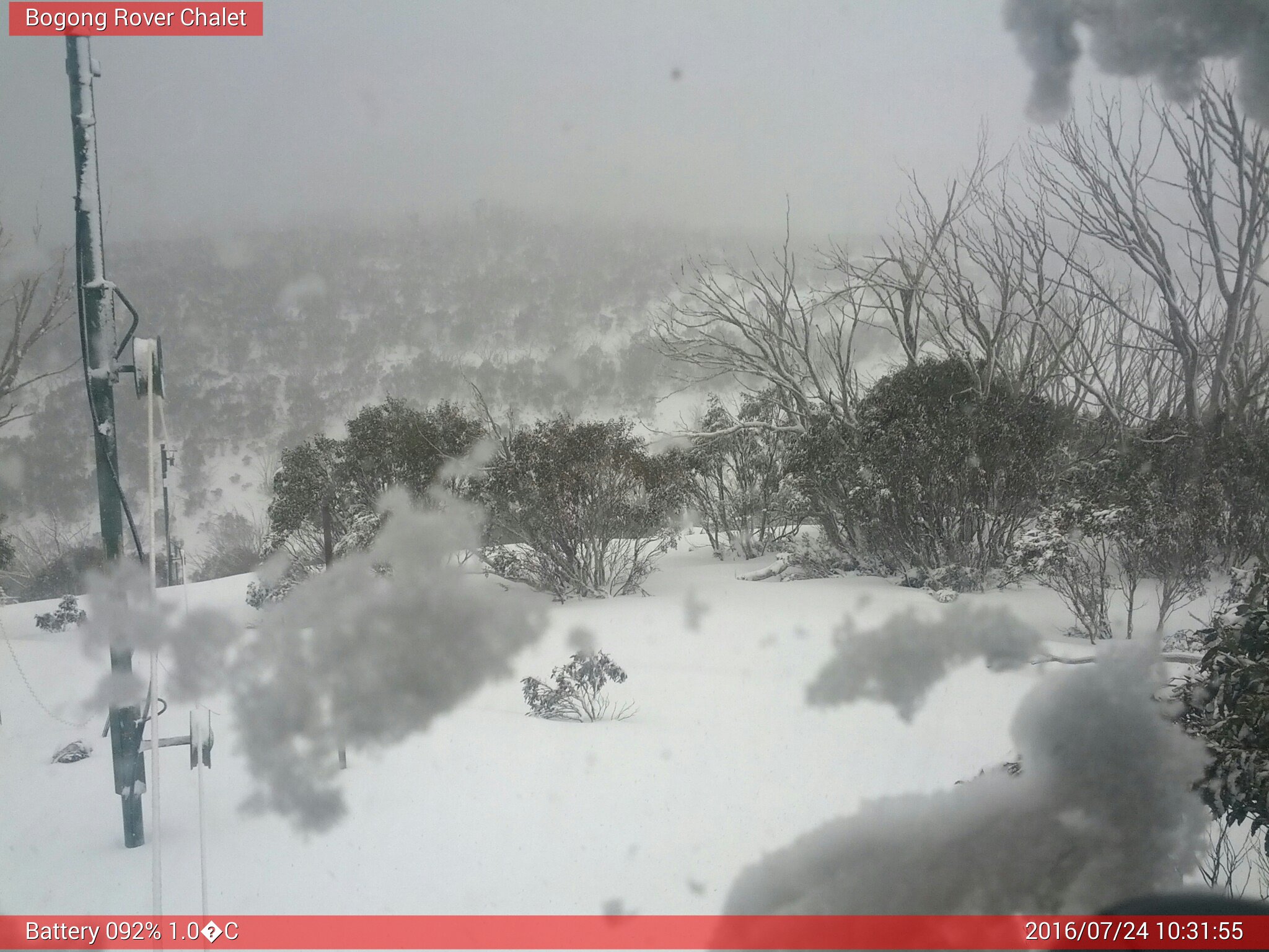 Bogong Web Cam 10:31am Sunday 24th of July 2016