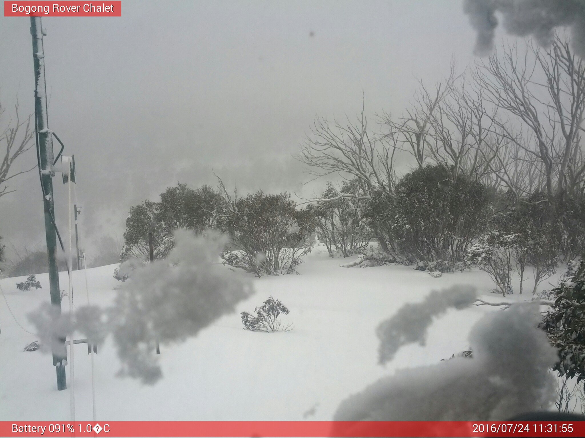 Bogong Web Cam 11:31am Sunday 24th of July 2016