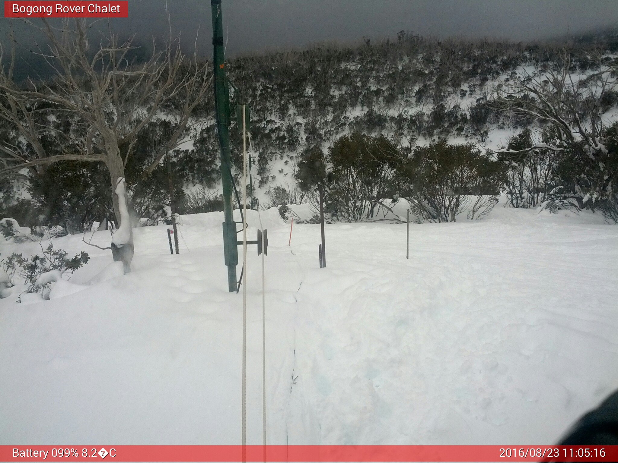 Bogong Web Cam 11:05am Tuesday 23rd of August 2016