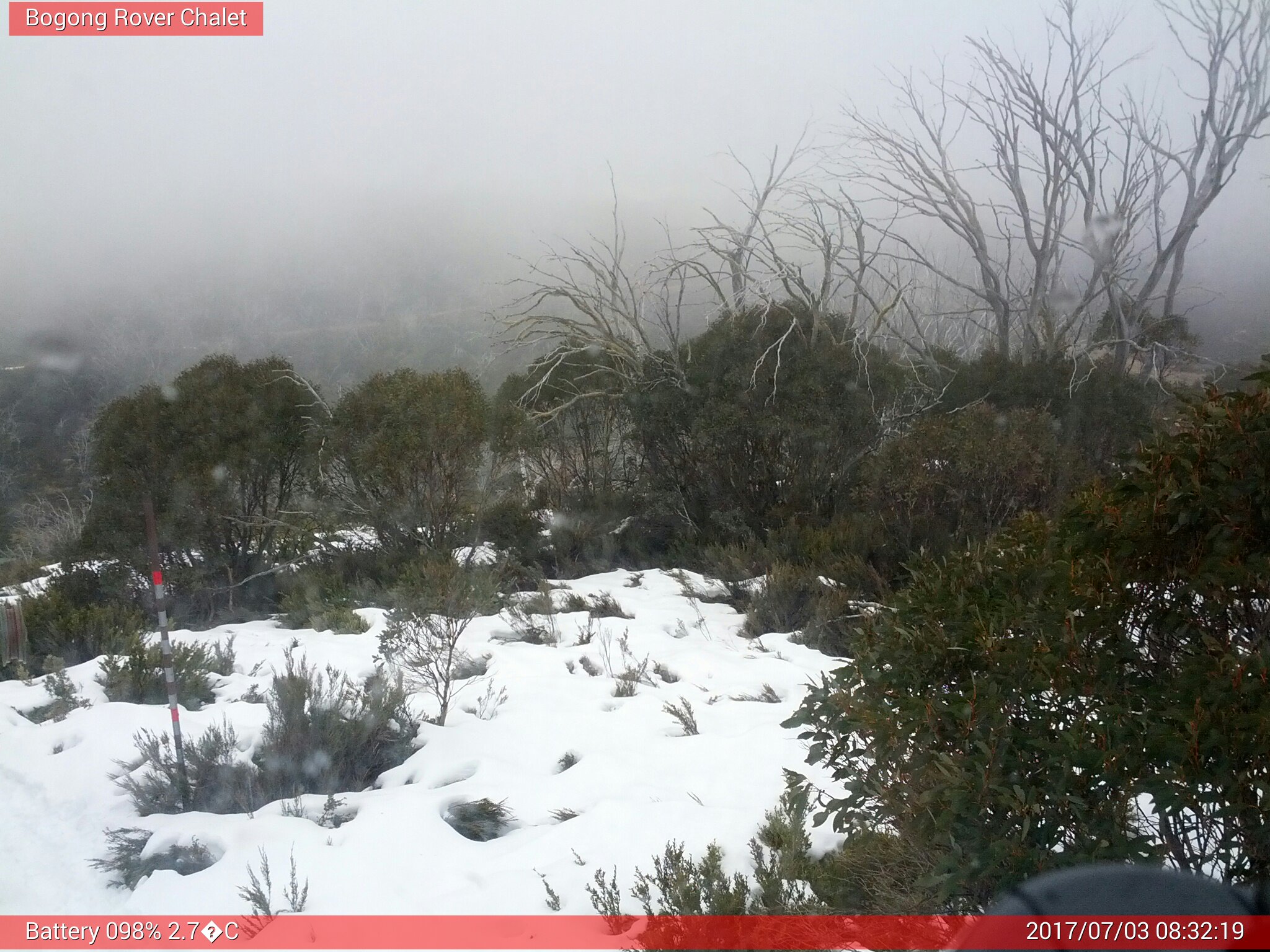 Bogong Web Cam 8:32am Monday 3rd of July 2017