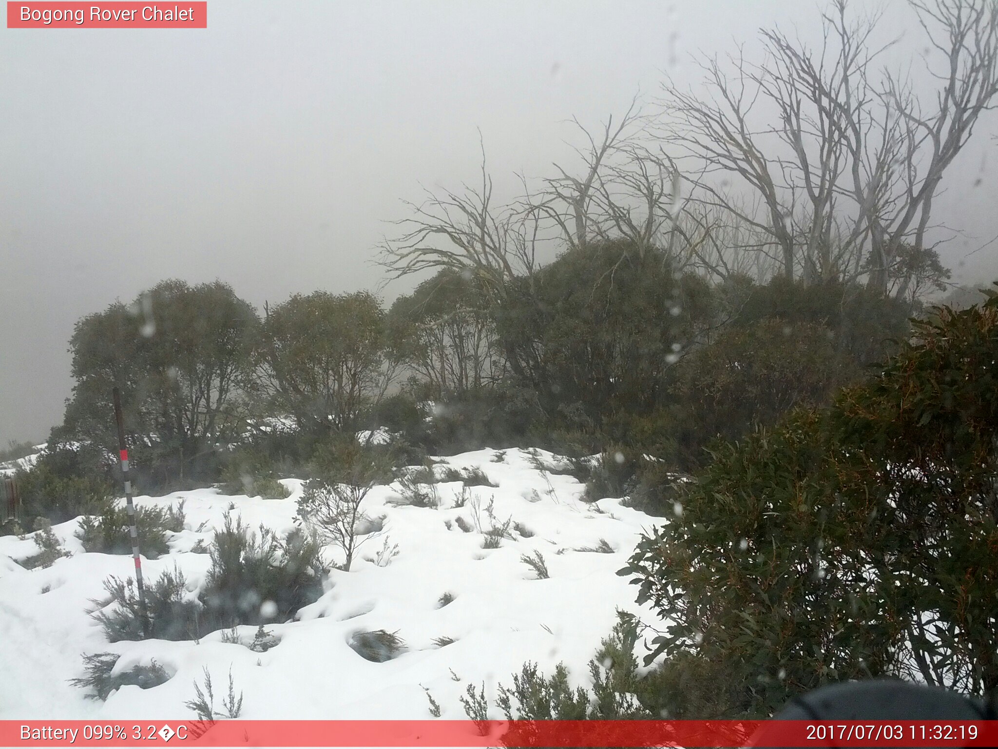 Bogong Web Cam 11:32am Monday 3rd of July 2017