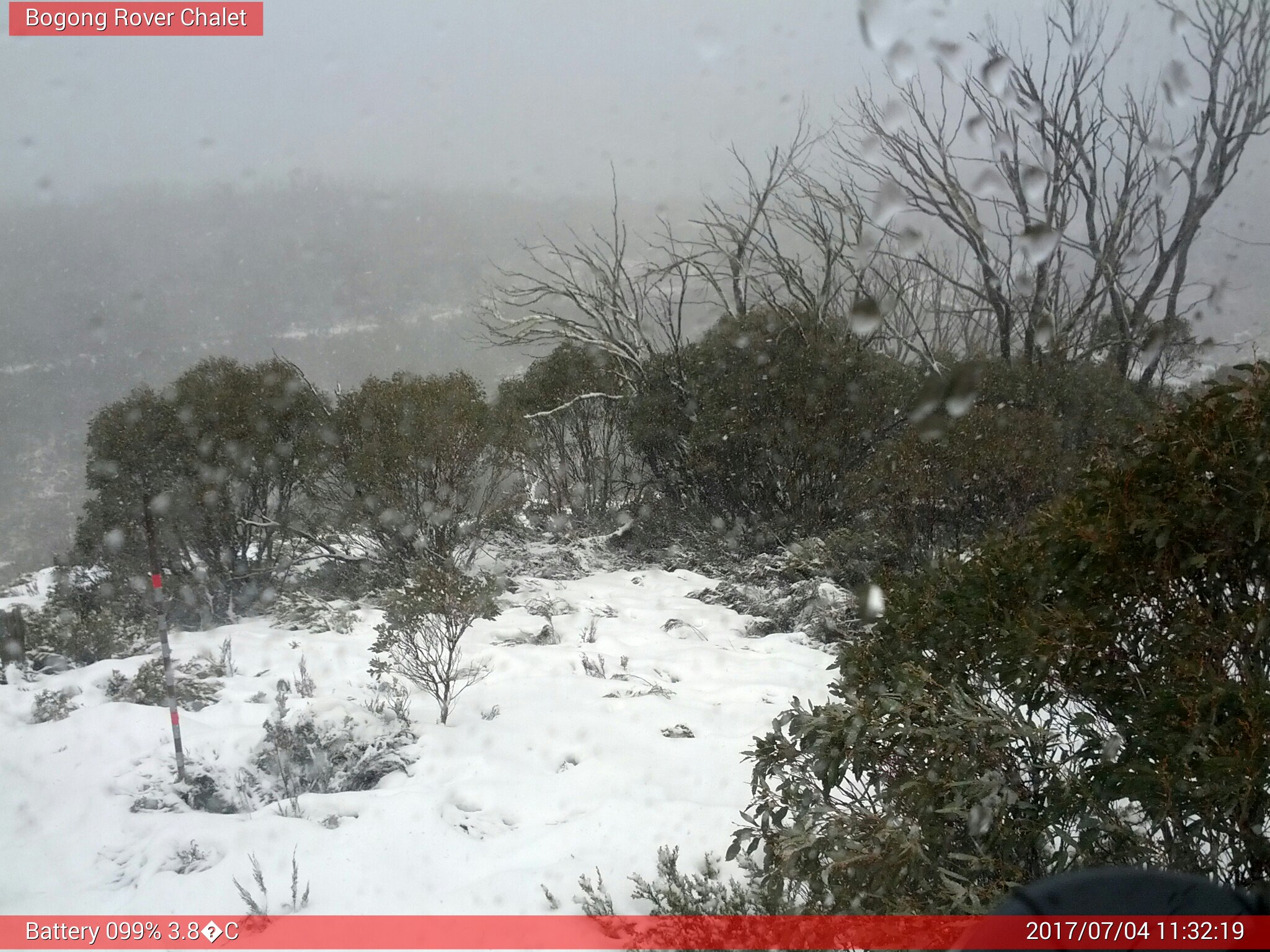 Bogong Web Cam 11:32am Tuesday 4th of July 2017