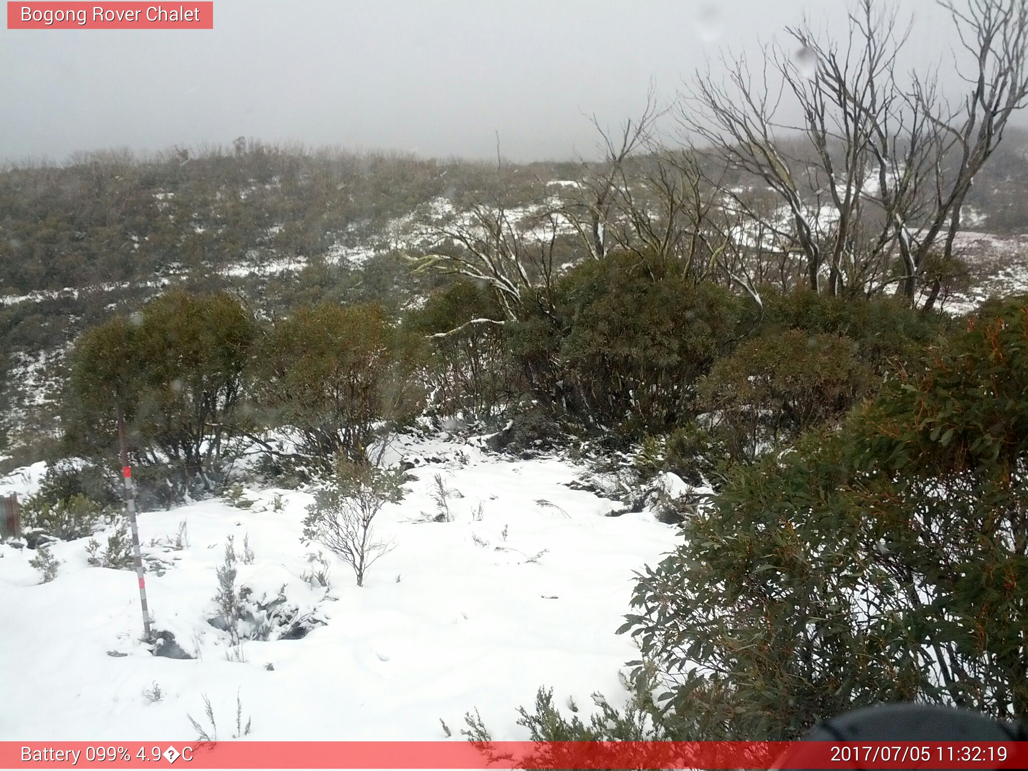 Bogong Web Cam 11:32am Wednesday 5th of July 2017