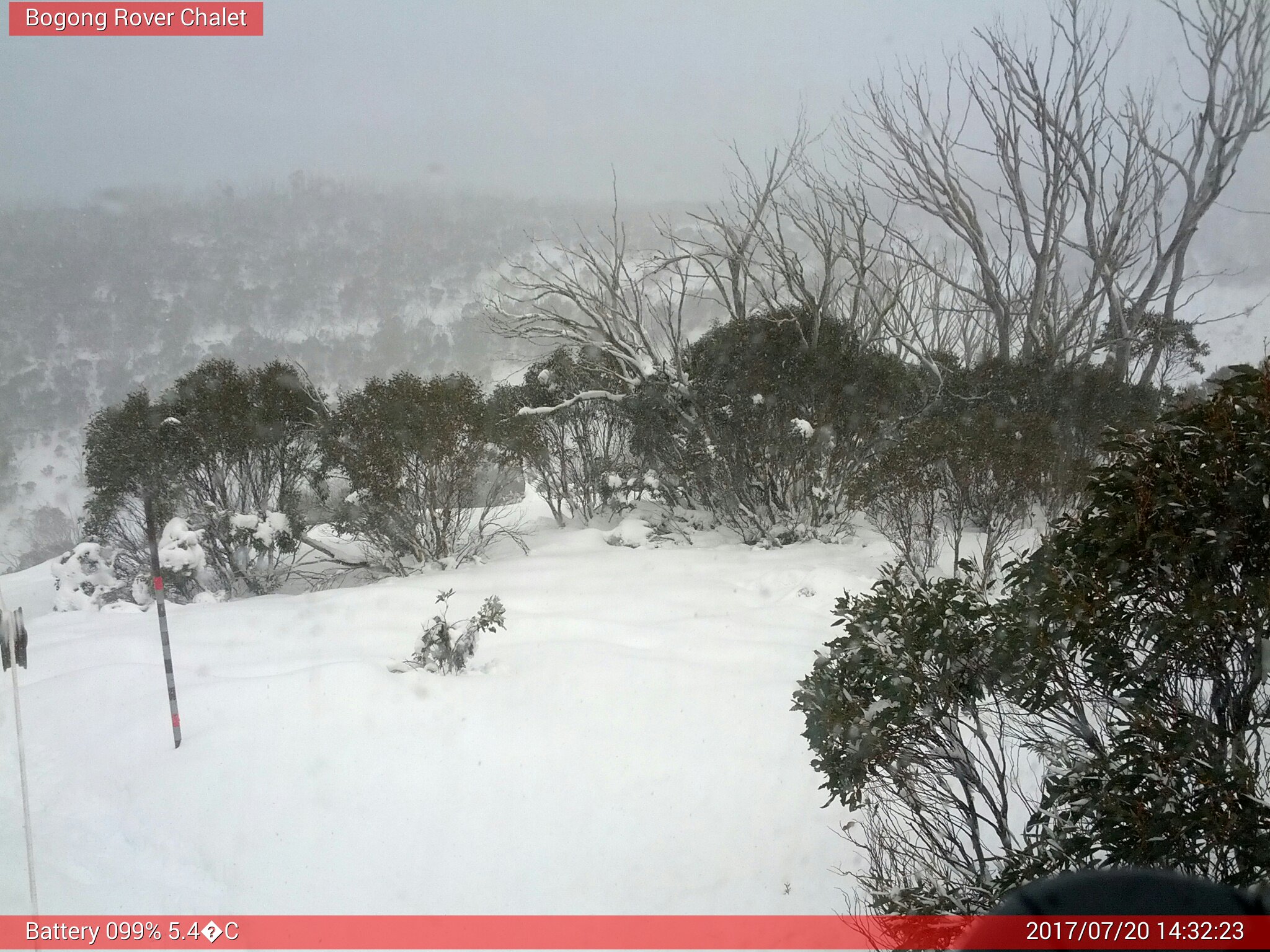 Bogong Web Cam 2:32pm Thursday 20th of July 2017