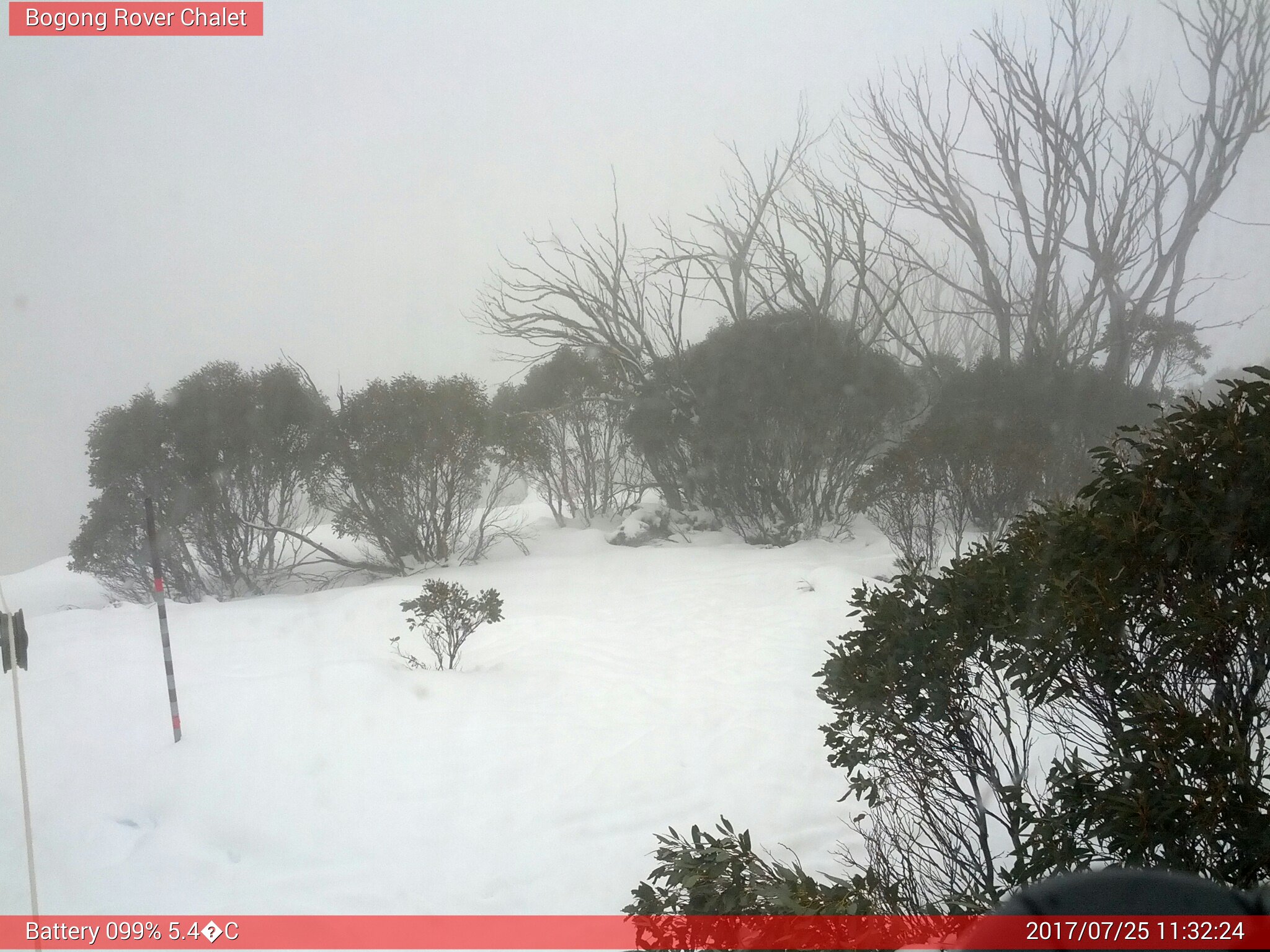 Bogong Web Cam 11:32am Tuesday 25th of July 2017