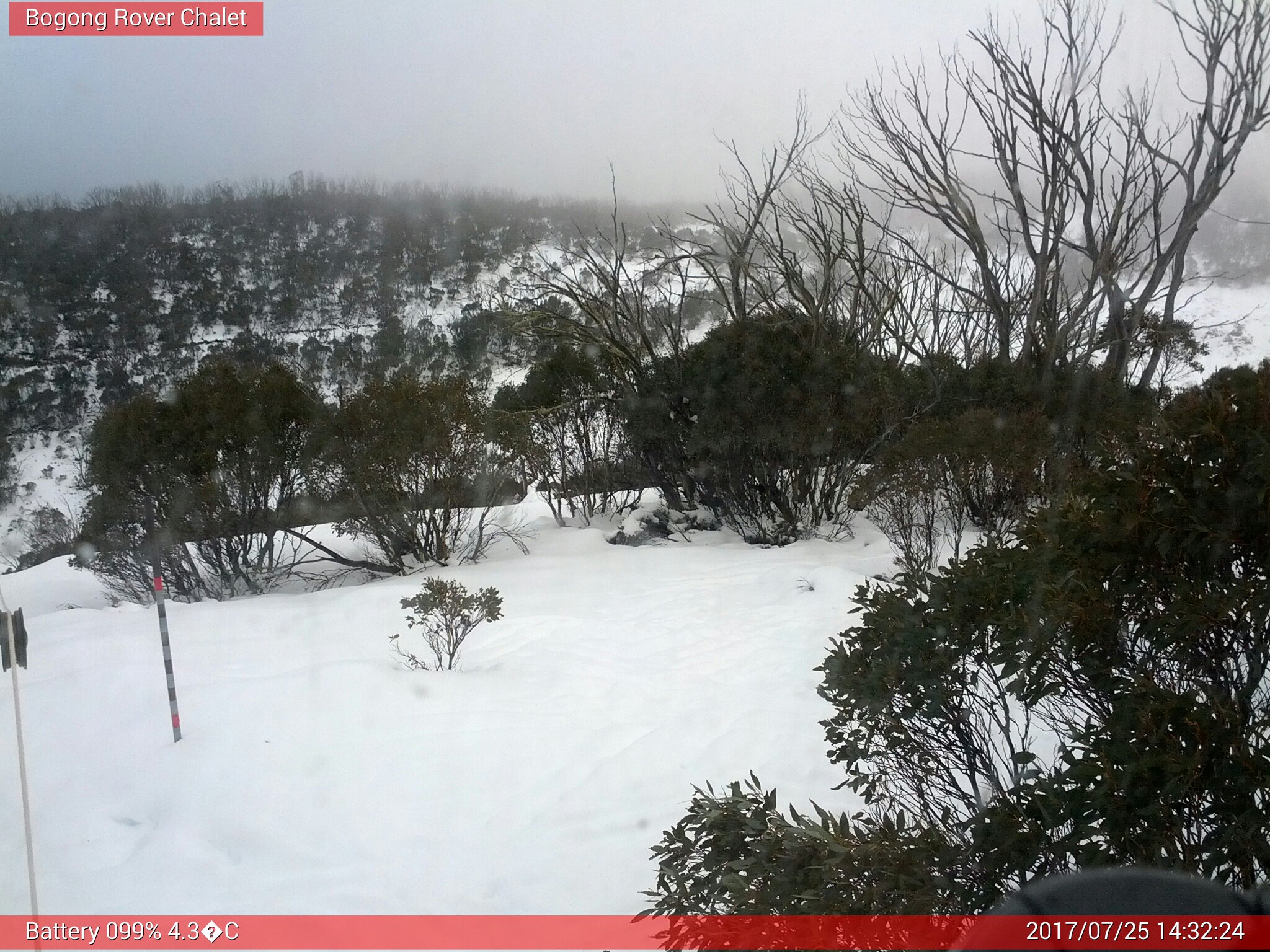 Bogong Web Cam 2:32pm Tuesday 25th of July 2017