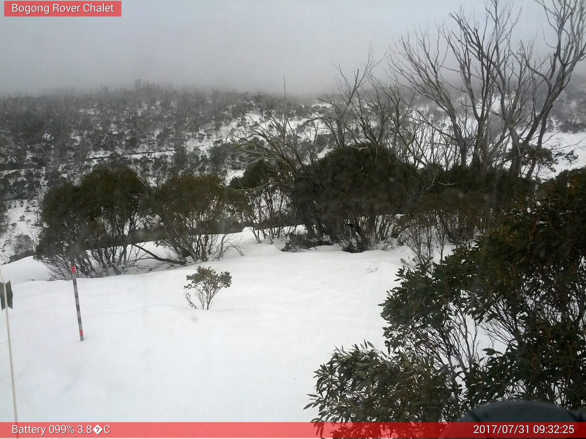 Bogong Web Cam 9:32am Monday 31st of July 2017