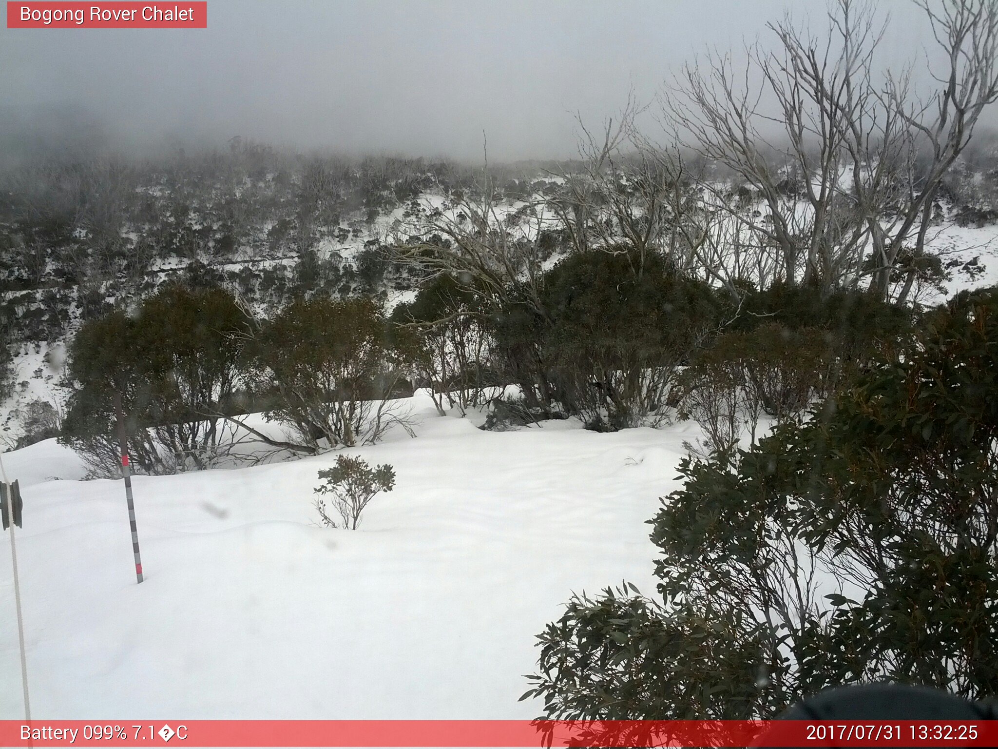 Bogong Web Cam 1:32pm Monday 31st of July 2017