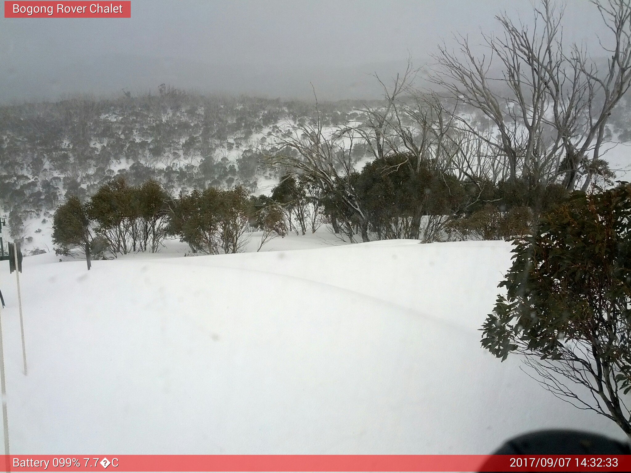 Bogong Web Cam 2:32pm Thursday 7th of September 2017