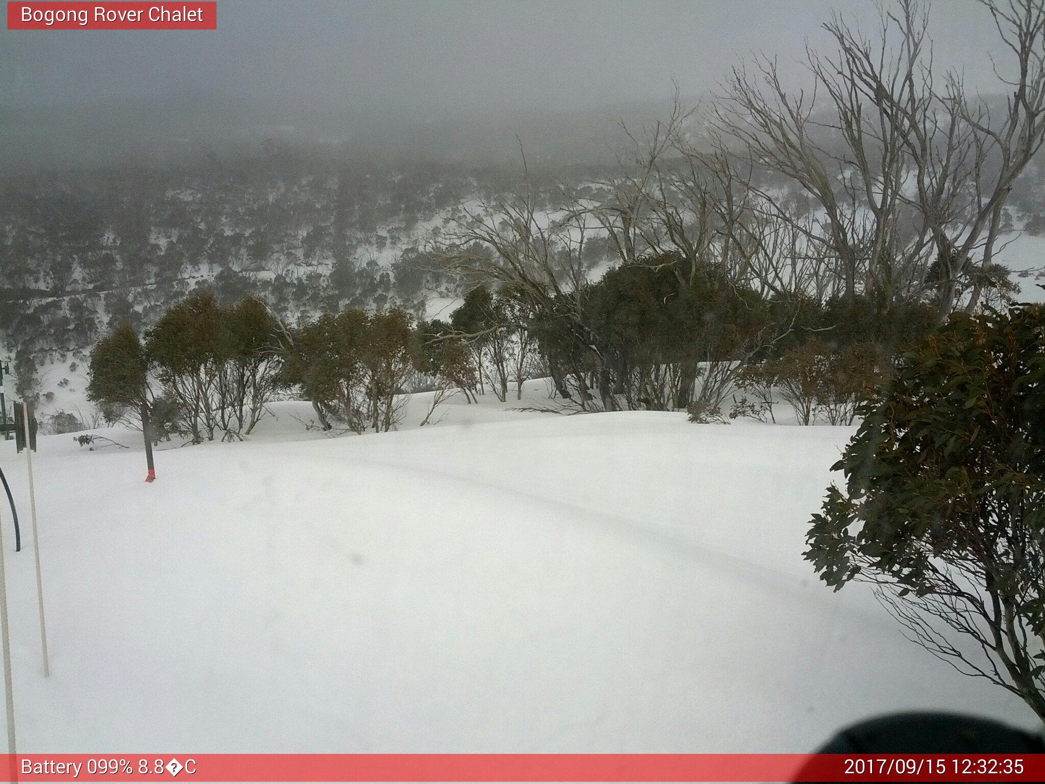 Bogong Web Cam 12:32pm Friday 15th of September 2017