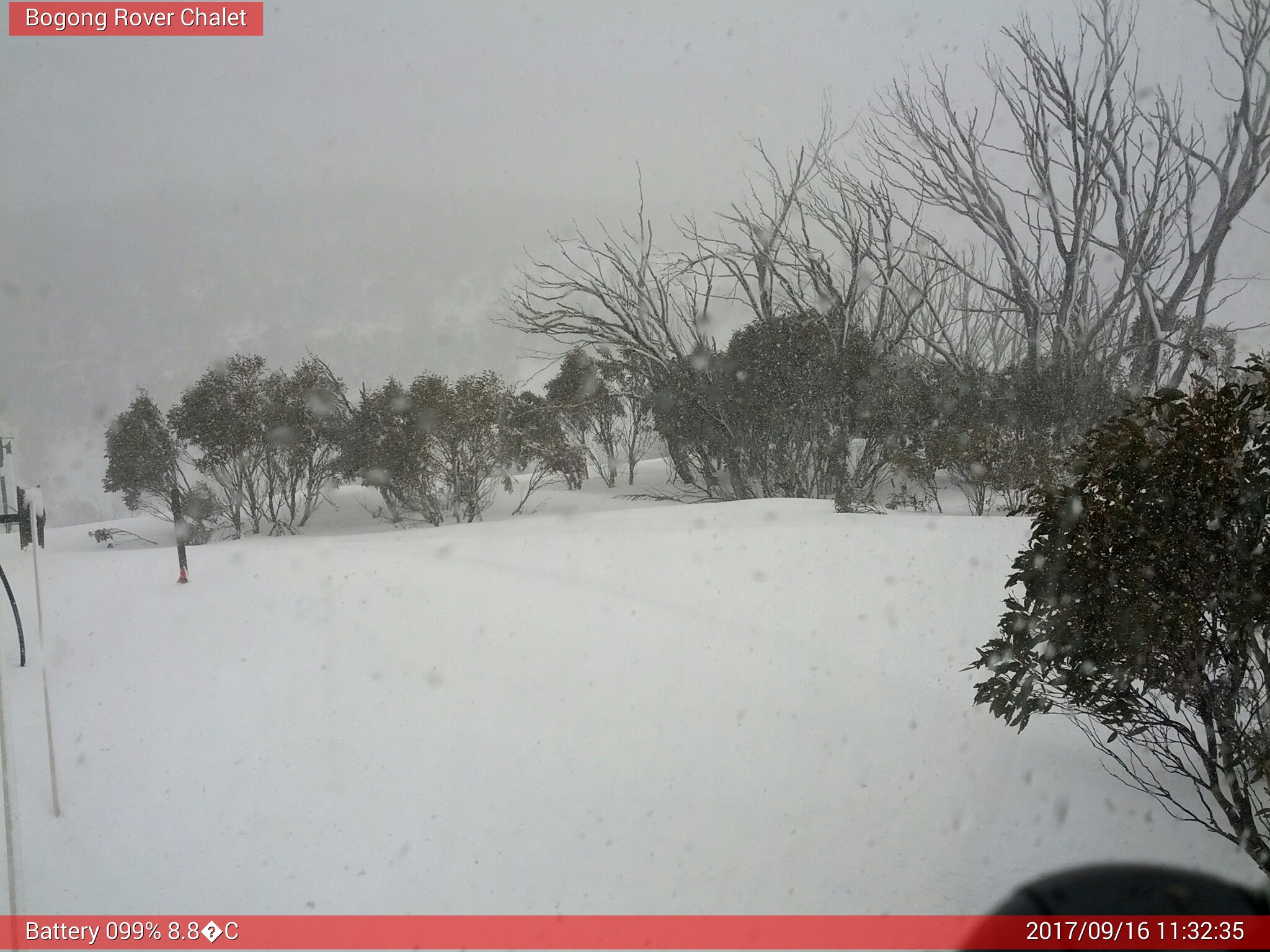 Bogong Web Cam 11:32am Saturday 16th of September 2017