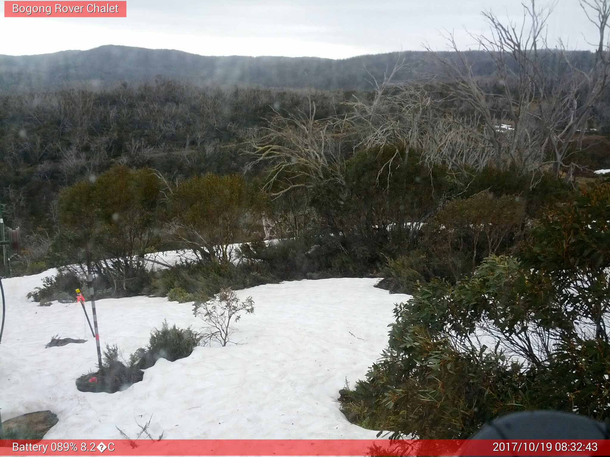 Bogong Web Cam 8:32am Thursday 19th of October 2017