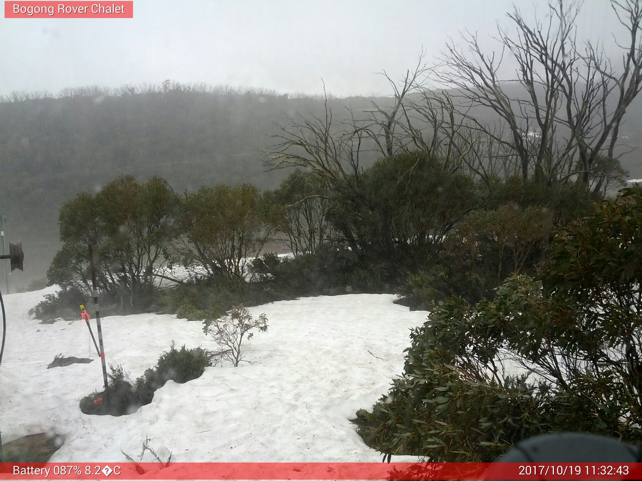 Bogong Web Cam 11:32am Thursday 19th of October 2017