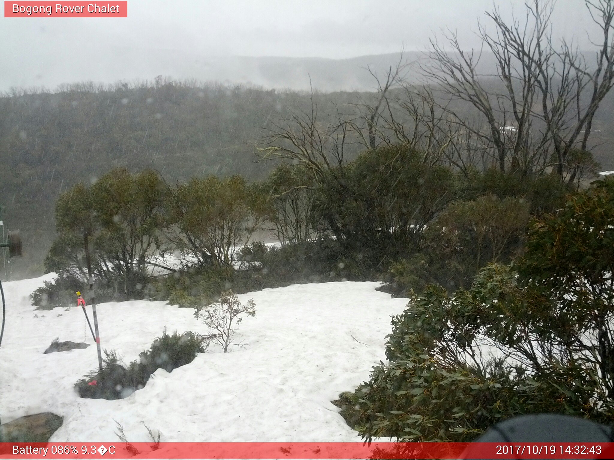 Bogong Web Cam 2:32pm Thursday 19th of October 2017