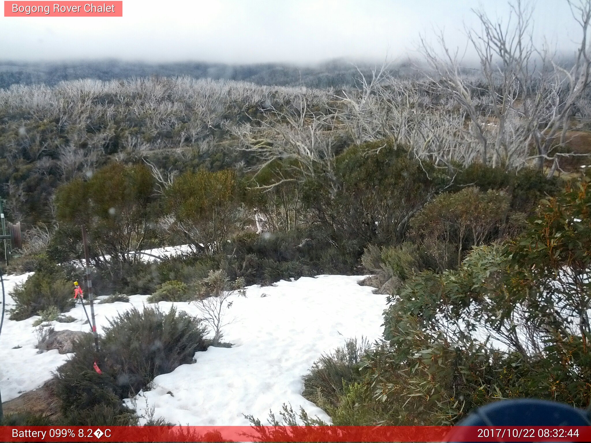 Bogong Web Cam 8:32am Sunday 22nd of October 2017