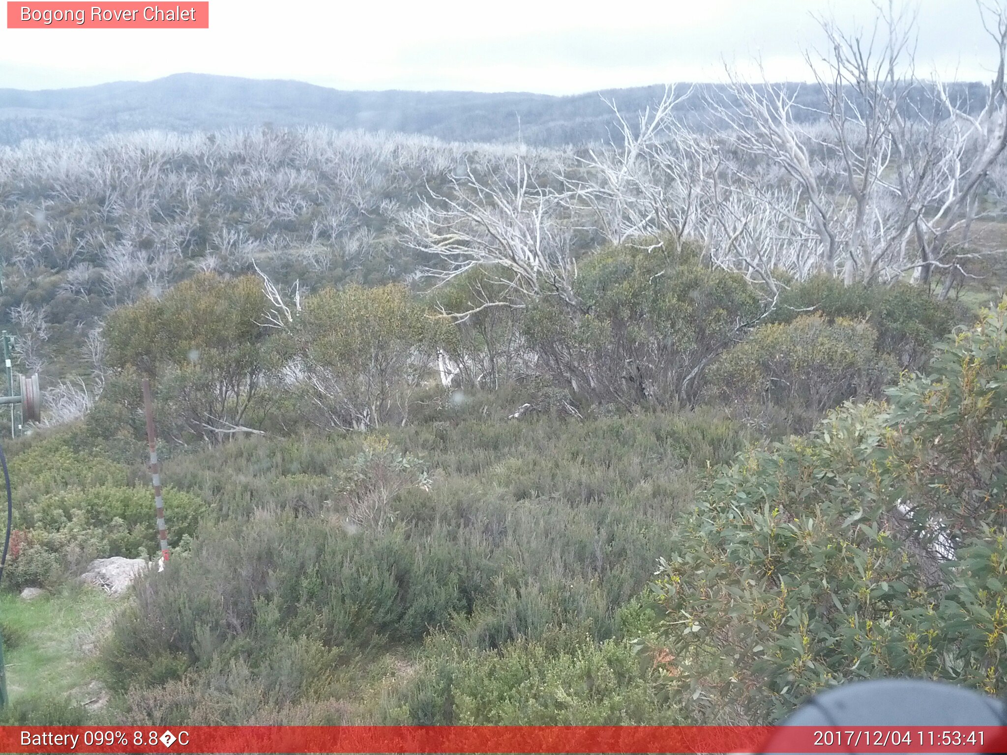 Bogong Web Cam 11:53am Monday 4th of December 2017