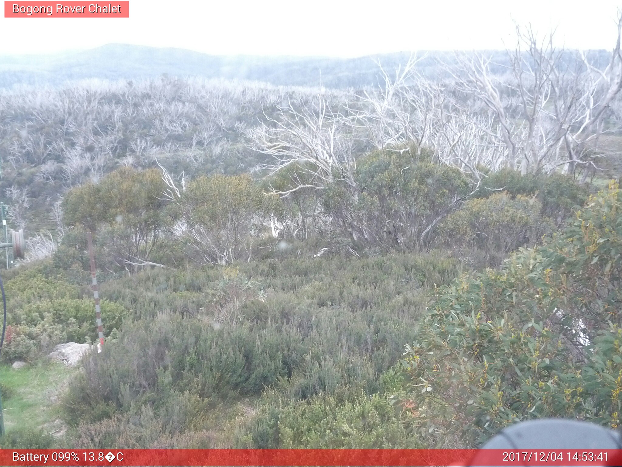 Bogong Web Cam 2:53pm Monday 4th of December 2017