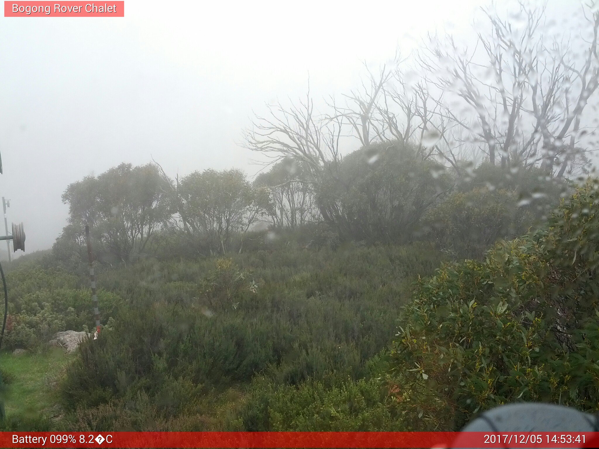 Bogong Web Cam 2:53pm Tuesday 5th of December 2017