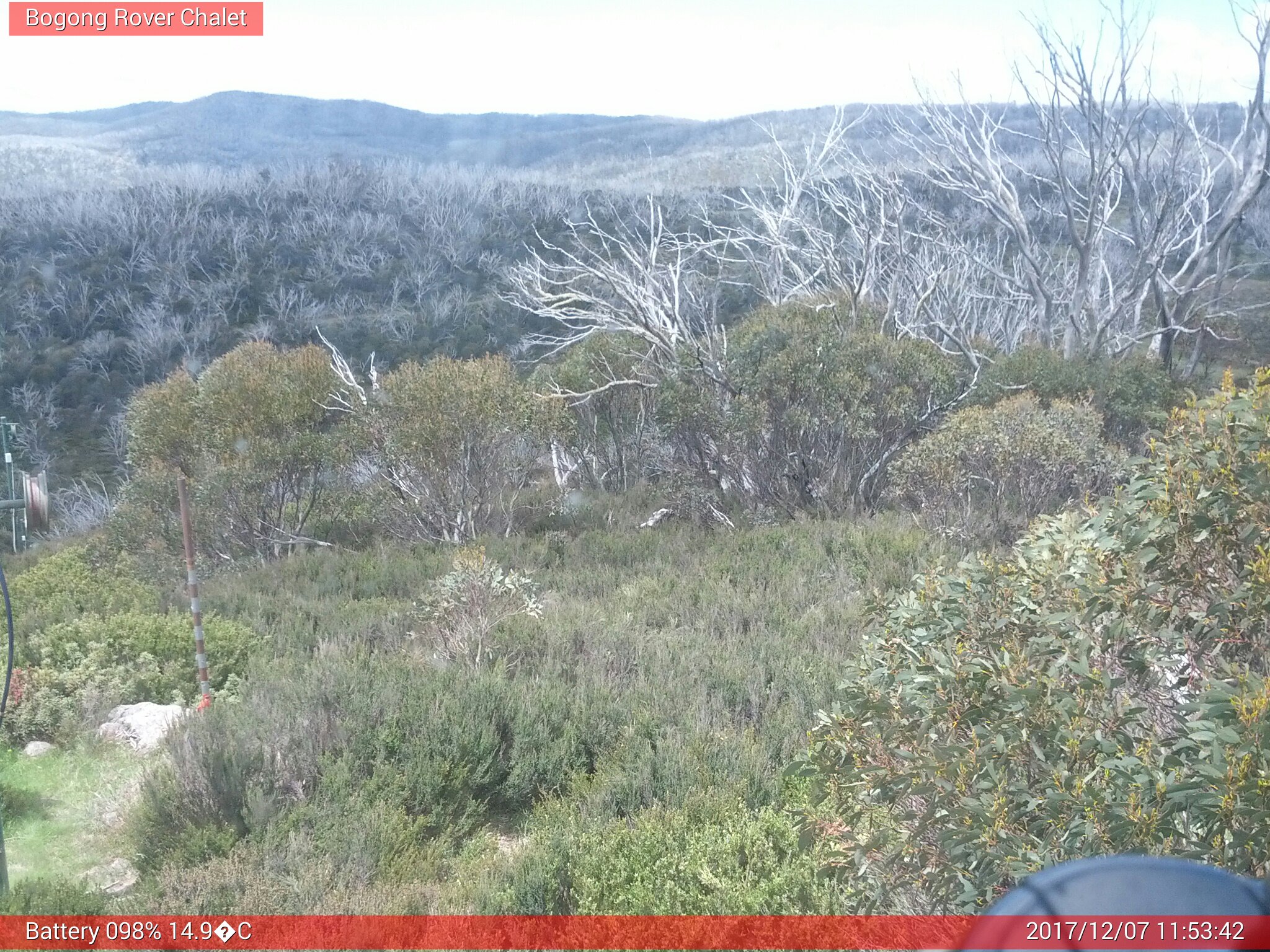 Bogong Web Cam 11:53am Thursday 7th of December 2017