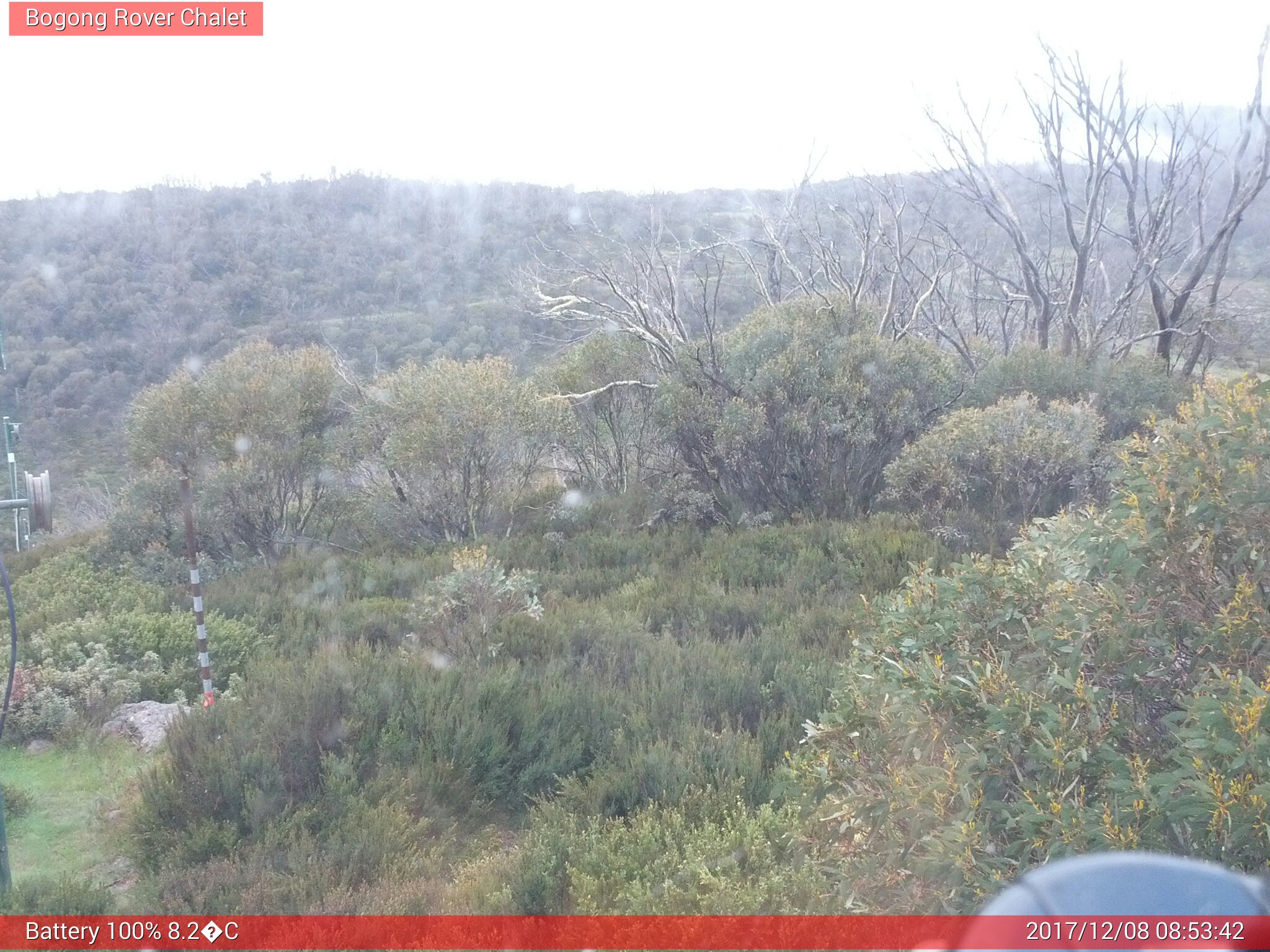 Bogong Web Cam 8:53am Friday 8th of December 2017