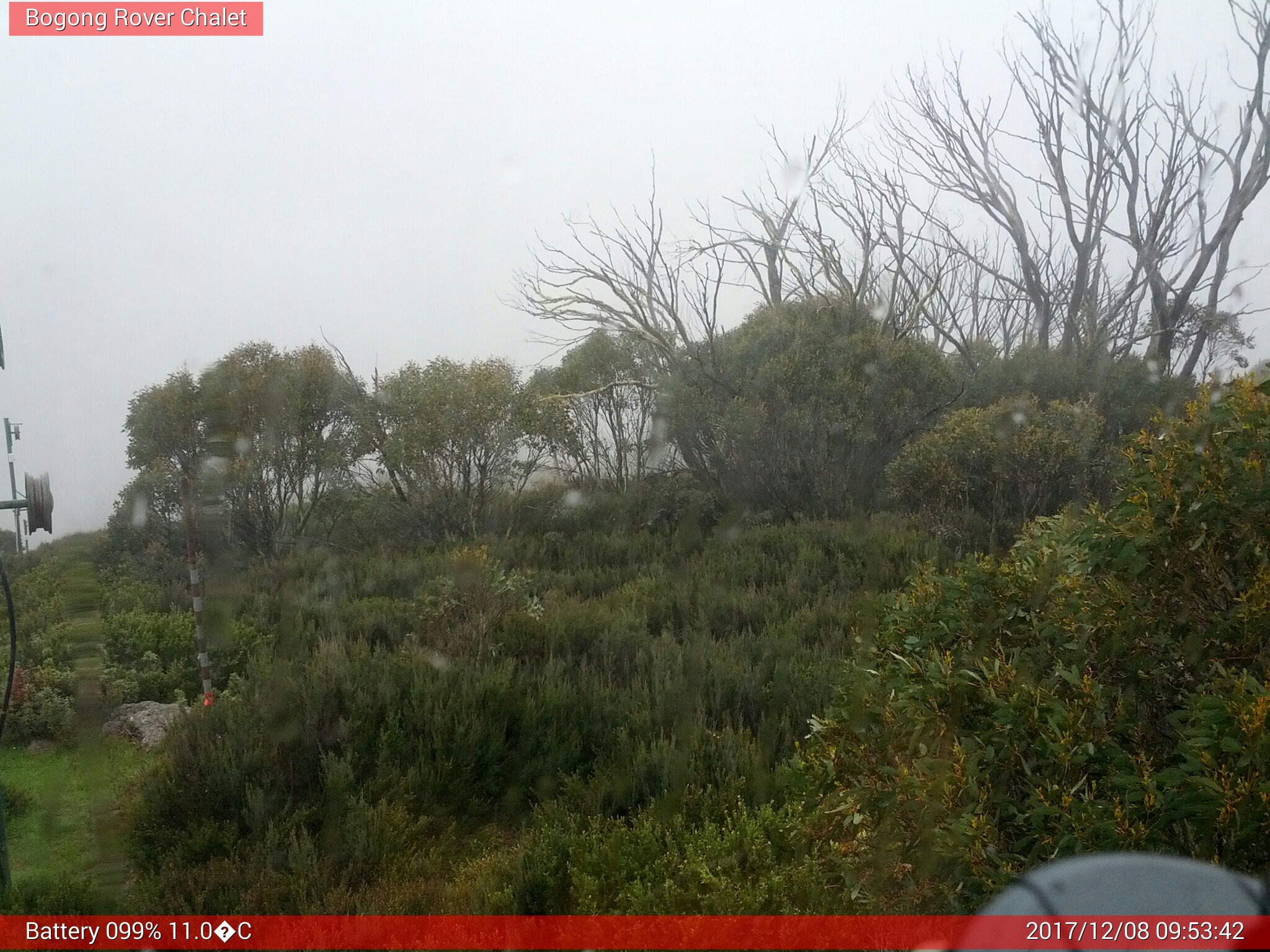 Bogong Web Cam 9:53am Friday 8th of December 2017