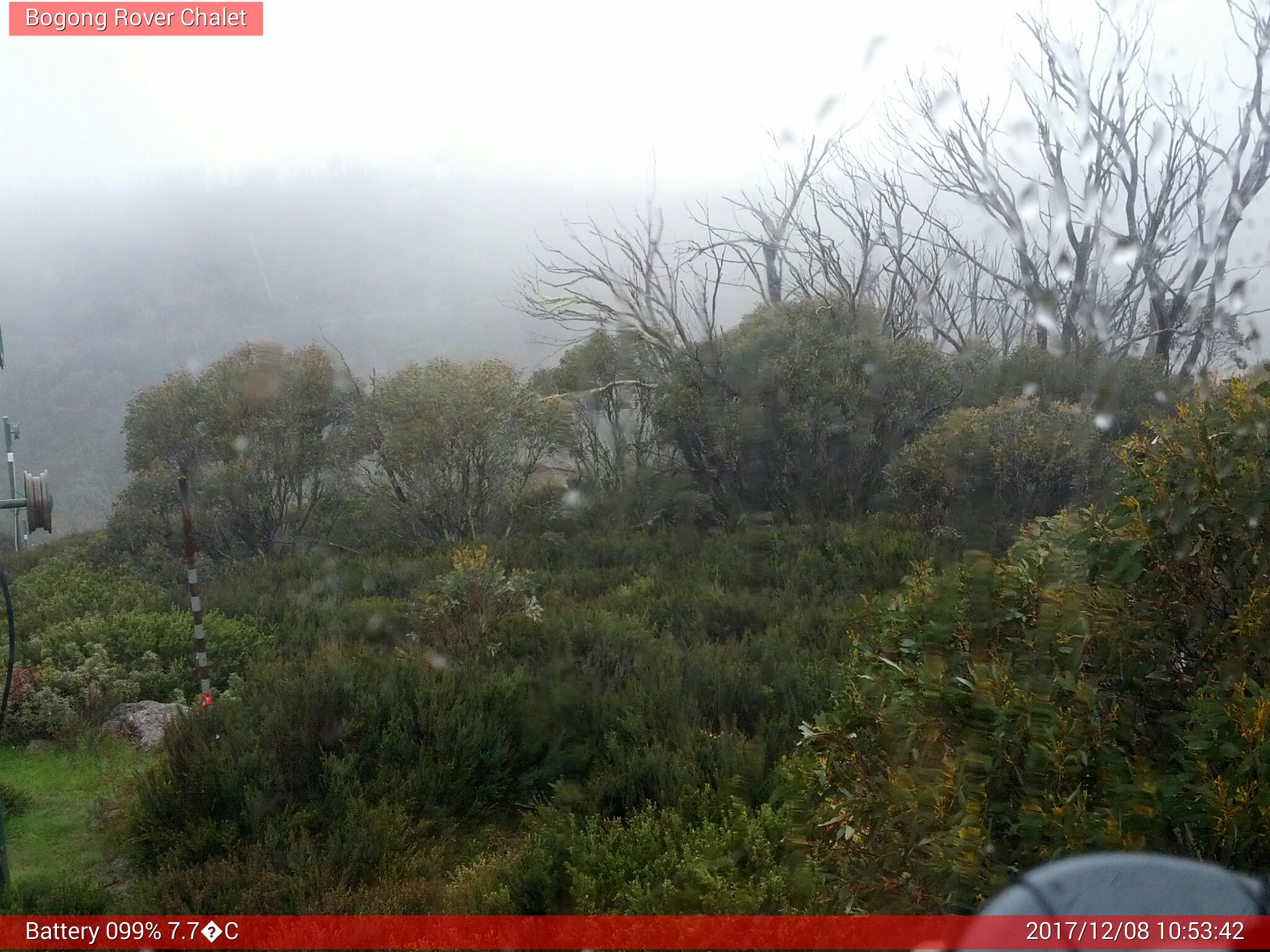 Bogong Web Cam 10:53am Friday 8th of December 2017